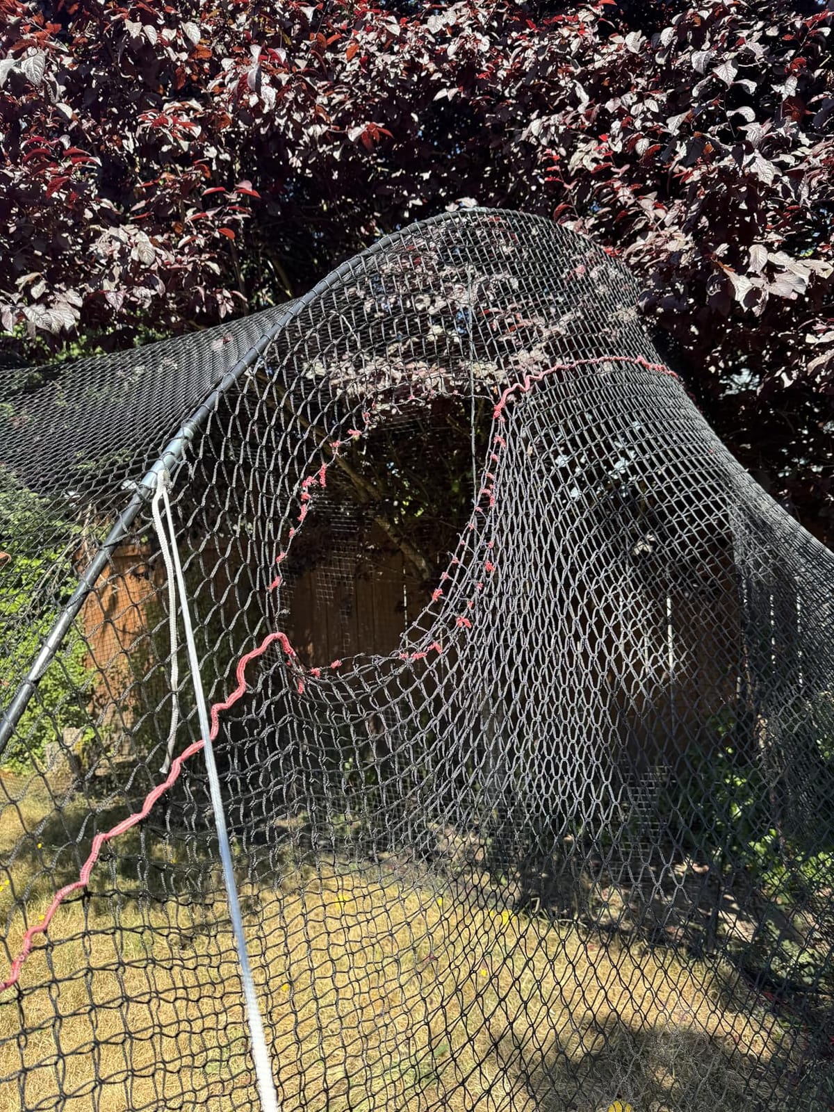 HEATER Sports PowerAlley Baseball & Softball Batting Cage Net & Frame - Heavy-Duty Net with Built-in Pitching Machine Harness for Safety (Machine Not Included) customer photo 2