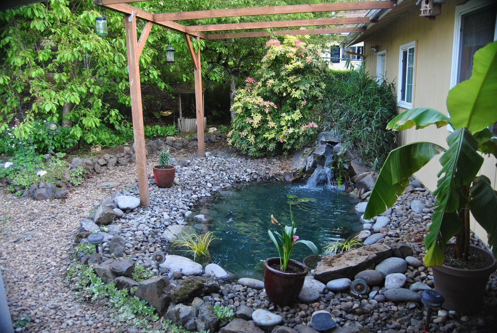 Tetra Pond Bio-Active Pressure Filter, for Ponds Up to 1500 Gallons | 2-Step Mechanical & Biological Filtration, For Clean & Healthy Ponds, Easy To Clean With Backflush Valve customer photo 2