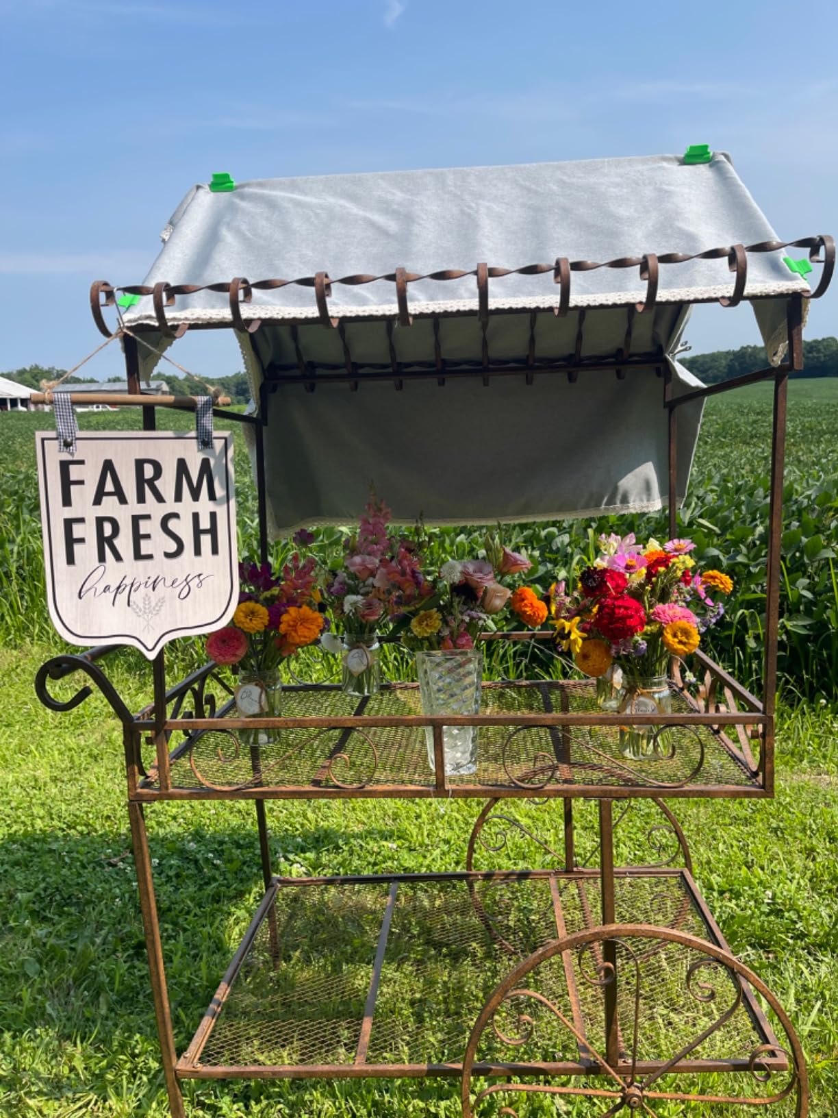 (TC104) Steel Flower Cart, Large customer photo 2