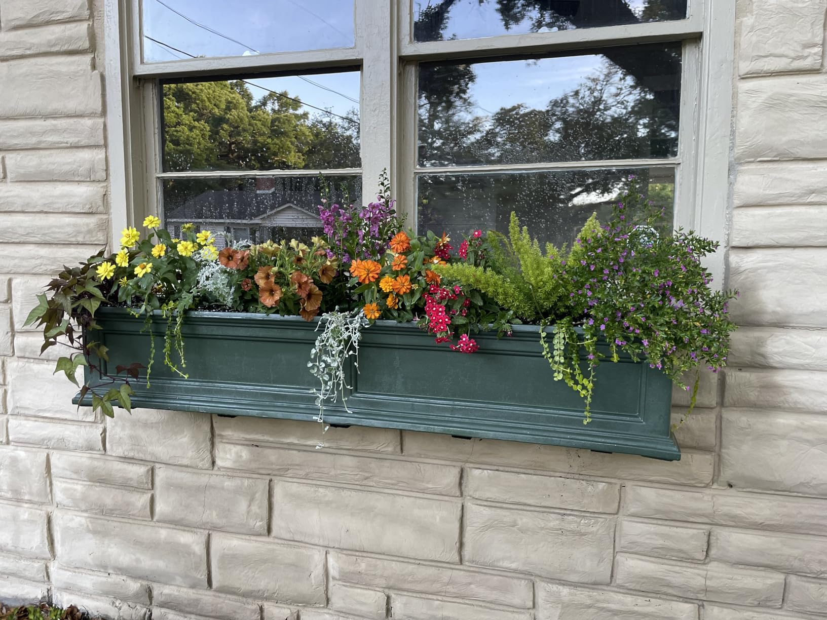 Mayne Fairfield 4ft Window Box, Self Watering Flower Box with Double Wall Design, All Season Fade Resistant Outdoor Window Planter With Steel Mounting Bracket, Black customer photo 2