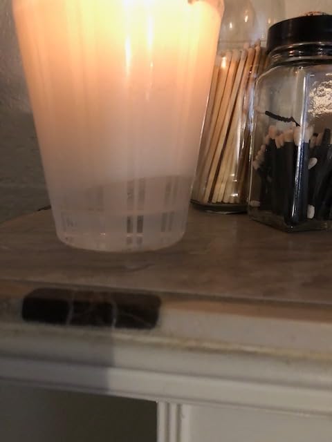 NEST New York Scented Classic Candle, Bamboo - 8.1 oz - Up to 60-Hour Burn Time customer photo 2