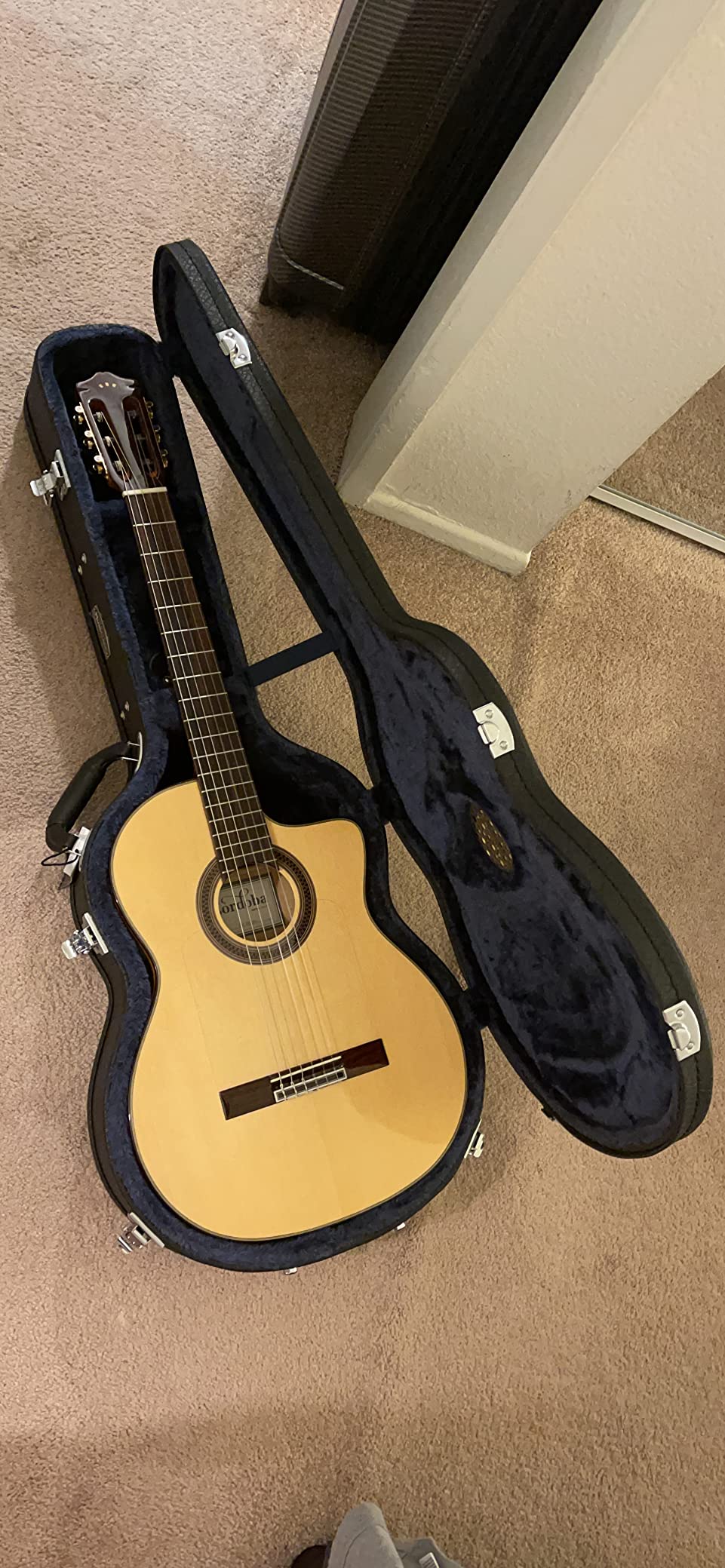 Protege Humidified Guitar Case-Full Size customer photo 2