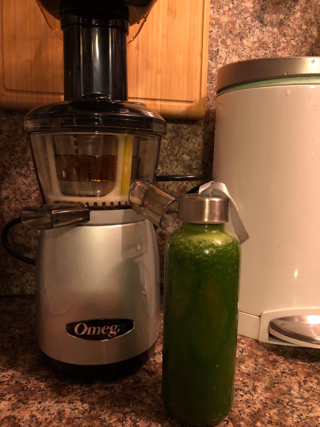 Omega VRT350 Vertical Low Speed Juicer, Silver customer photo 2