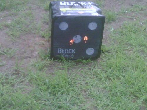 BLOCK Classic Layered Foam Archery Target, 2-Sided Shooting, Unique Open Layer Design Stops Field Points and Broadheads with Friction Not Force, Easy Arrow Removal, Top Carry Handle customer photo 1