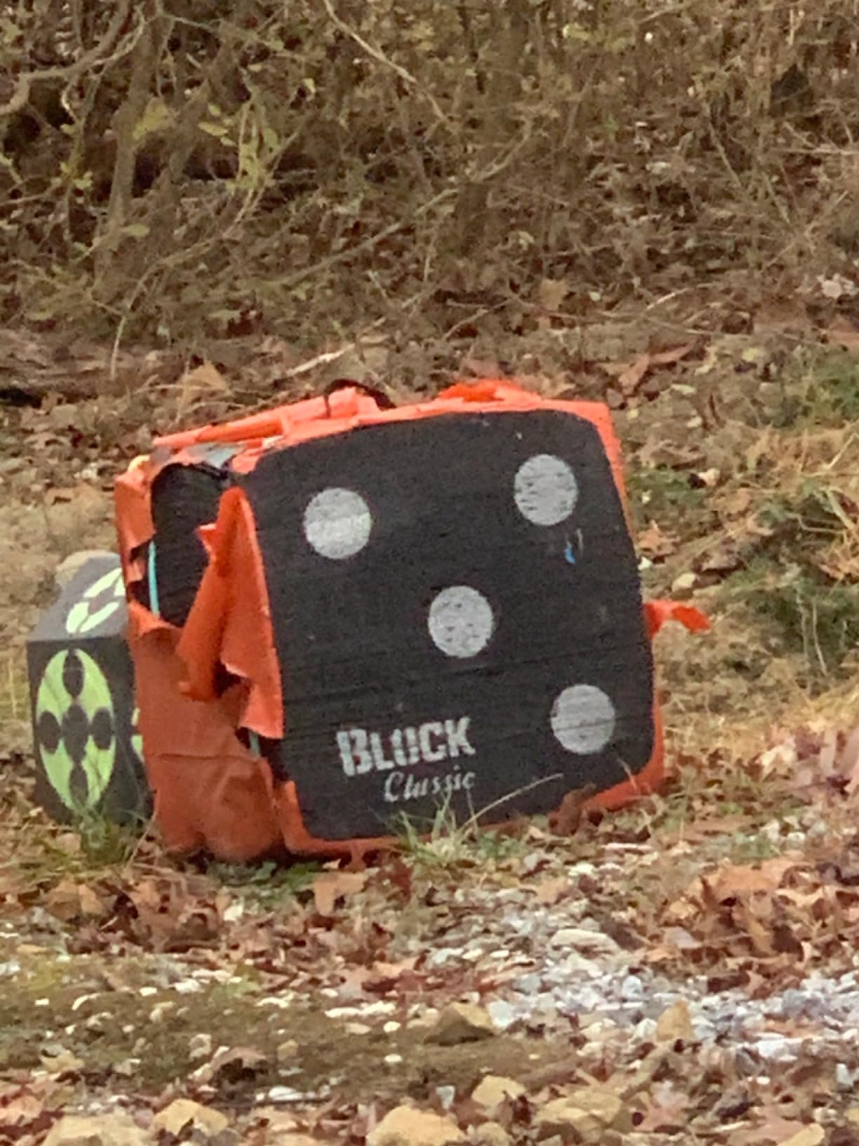 BLOCK Classic Layered Foam Archery Target, 2-Sided Shooting, Unique Open Layer Design Stops Field Points and Broadheads with Friction Not Force, Easy Arrow Removal, Top Carry Handle customer photo 2
