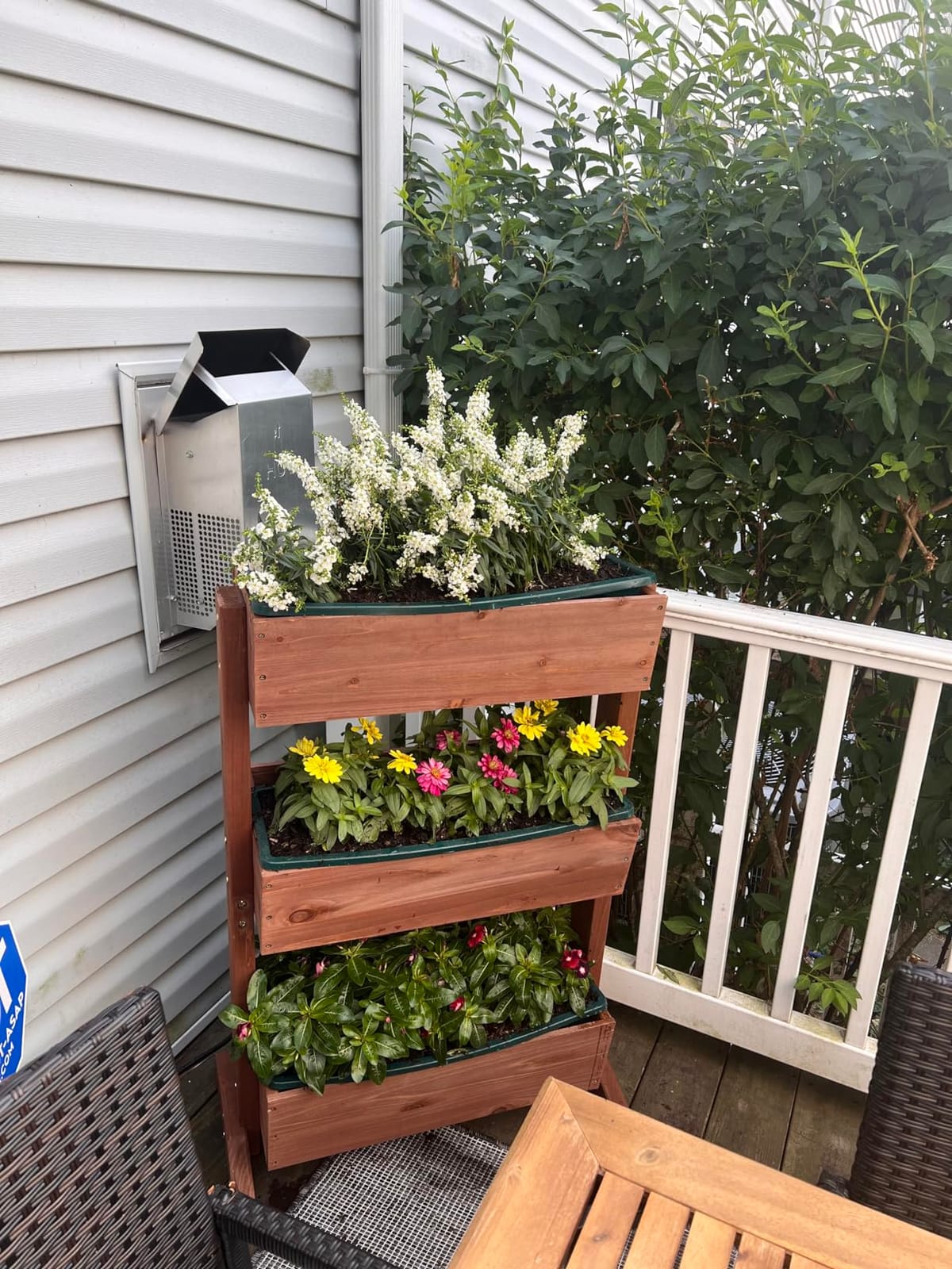 Root & Vessel Poly-Pro Plastic Flower Box Planter, Black, 30-Inch customer photo 2