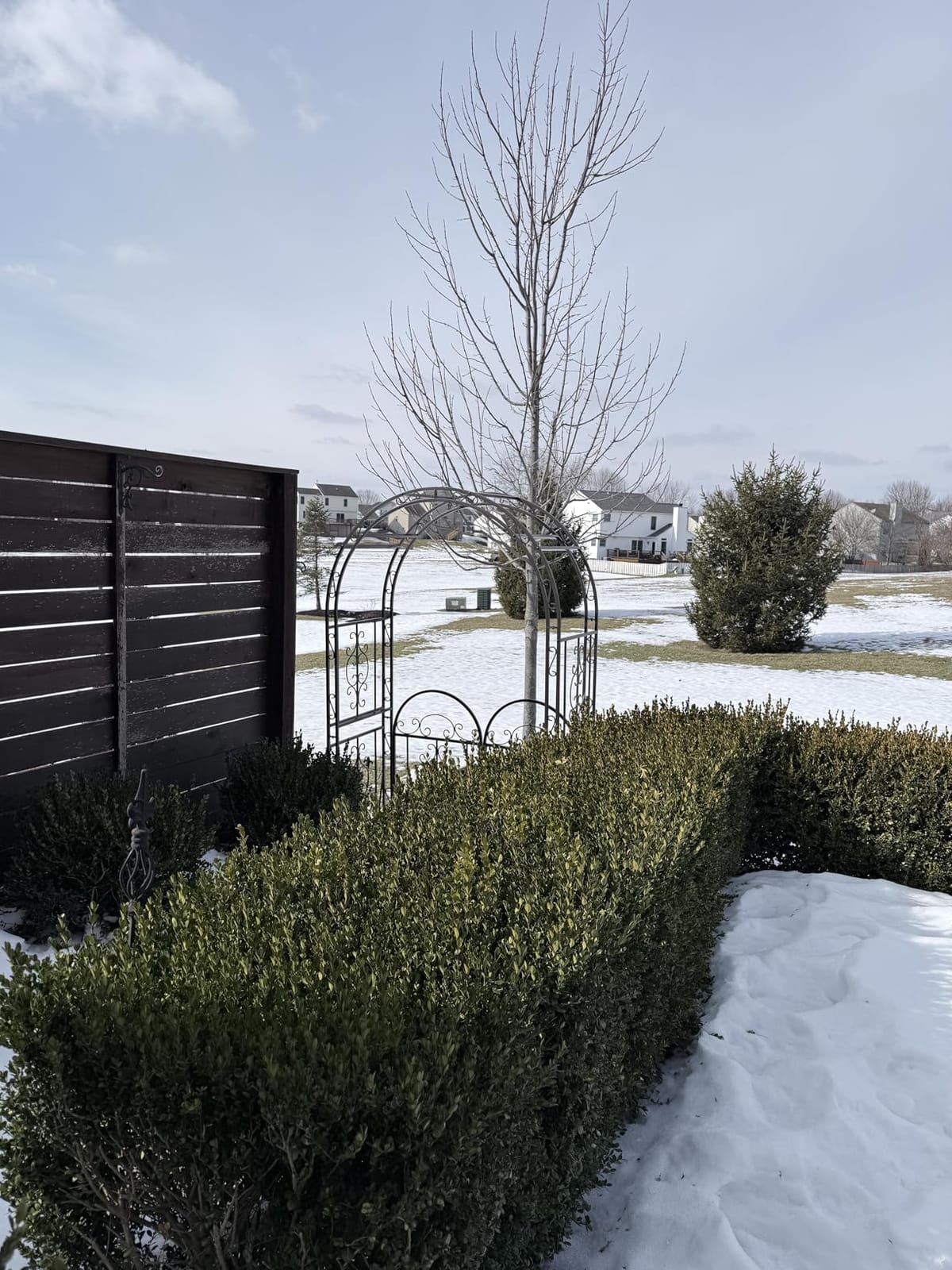 Plow & Hearth Arch Metal Outdoor Garden Arbor Double Gate | Montebello | 7 Feet Tall | Gunmetal Black | Steel Iron Trellis Lattice Climbing Plants & Heavy Vines customer photo 2