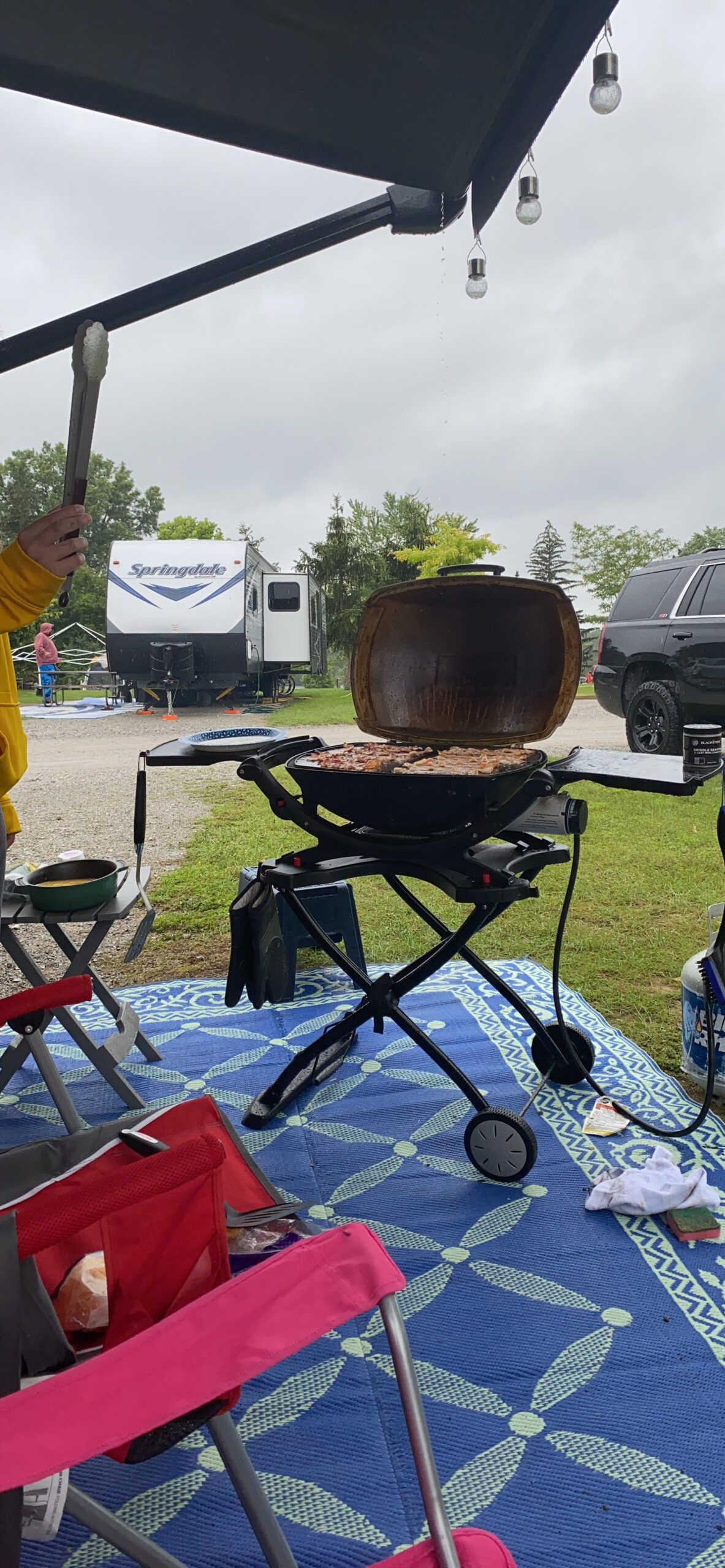 Weber Q Portable Cart, 28.2