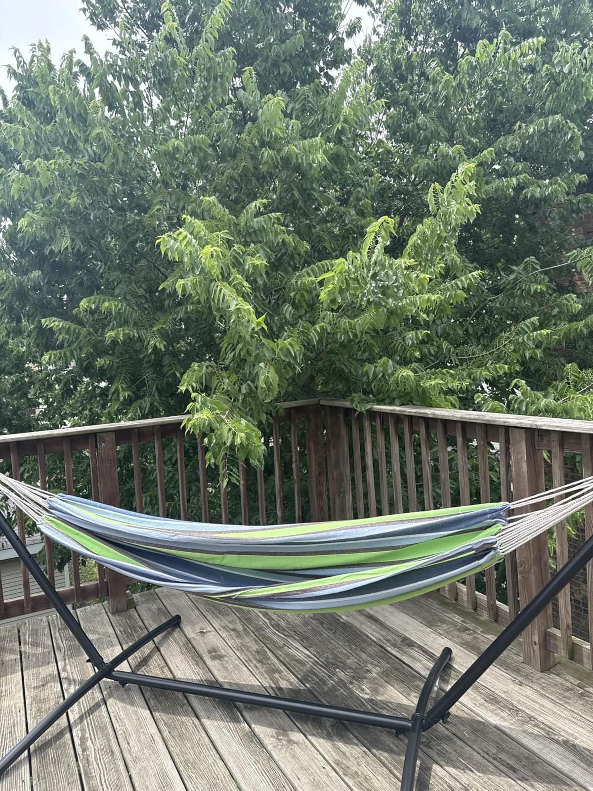 Best Choice Products Double Hammock with Steel Stand, Indoor Outdoor Brazilian-Style Cotton Bed w/Carrying Bag, 2-Person Capacity - Desert Stripes customer photo 1