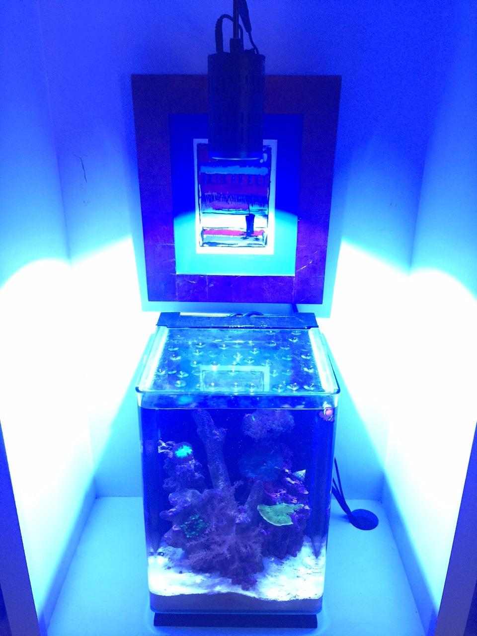 Kessil A160WE Controllable LED Aquarium Light, Tuna Blue customer photo 1