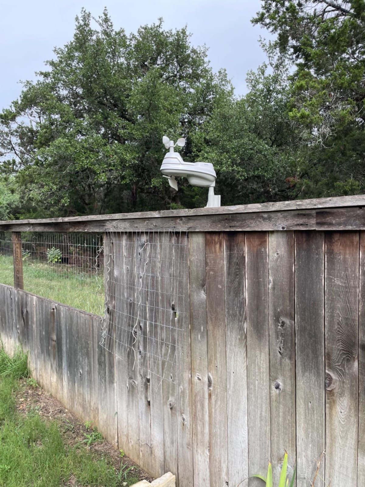 AcuRite Iris (5-in-1) Weather Sensor with Rain Gauge, Wind Speed, Wind Direction, Temperature and Humidity (06004M) customer photo 2