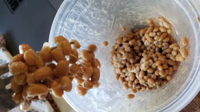 Signature Soy NON-GMO Soybeans for Natto 13 Lbs. FRESH CROP customer photo 1