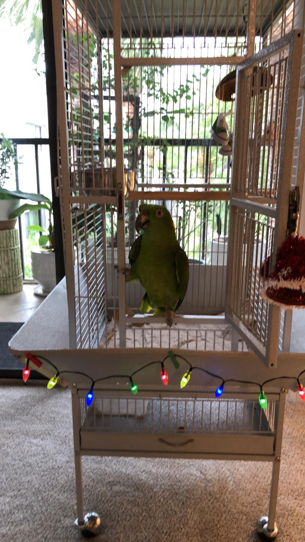 Yaheetech Wrought Iron Bird Cages, Play Top Large Aviary with Stand for Cockatiel Parrot Sun Parakeet Conures Lovebird Budgie Finch African Grey White, 61-inch customer photo 1