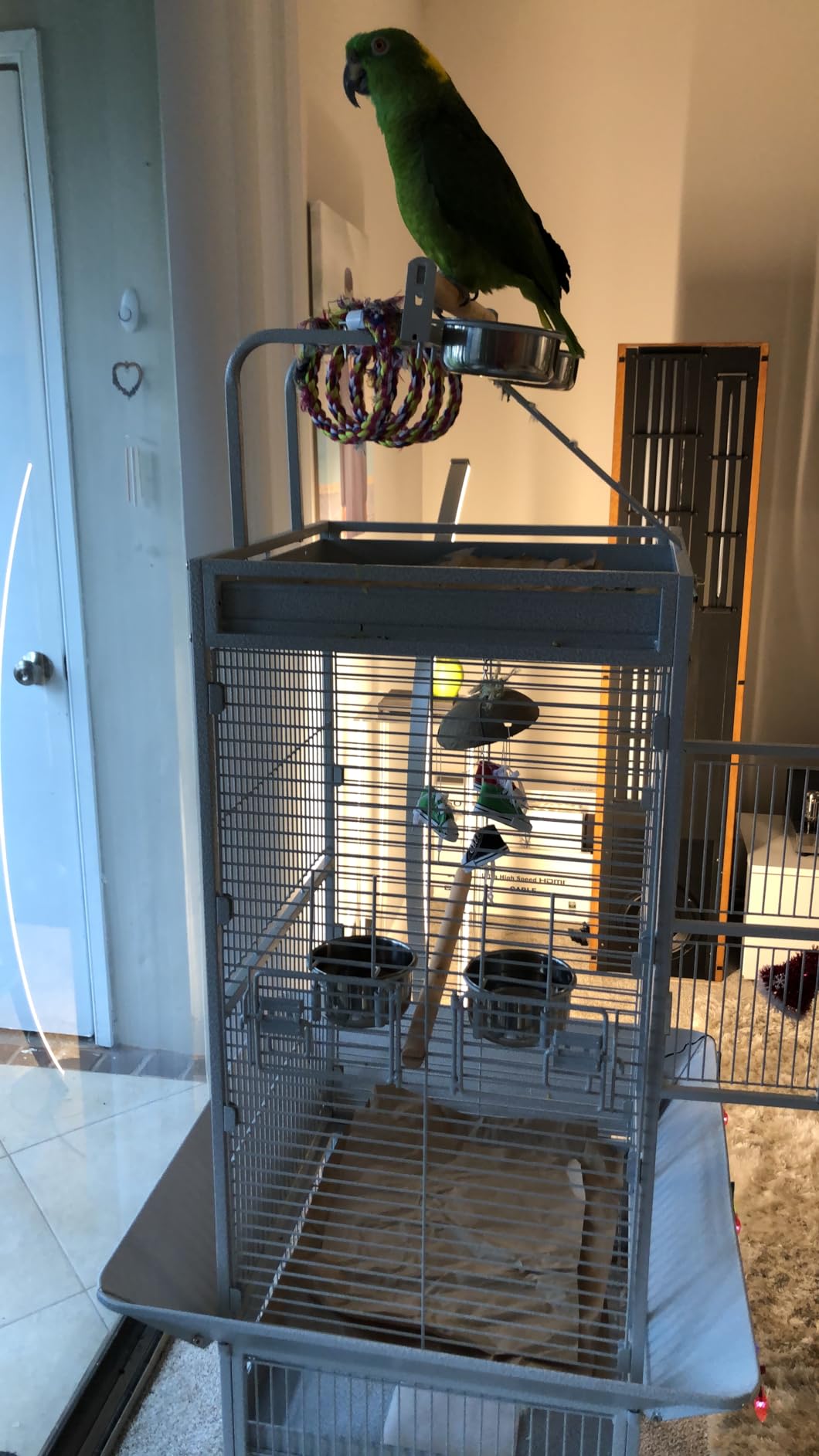 Yaheetech Wrought Iron Bird Cages, Play Top Large Aviary with Stand for Cockatiel Parrot Sun Parakeet Conures Lovebird Budgie Finch African Grey White, 61-inch customer photo 2