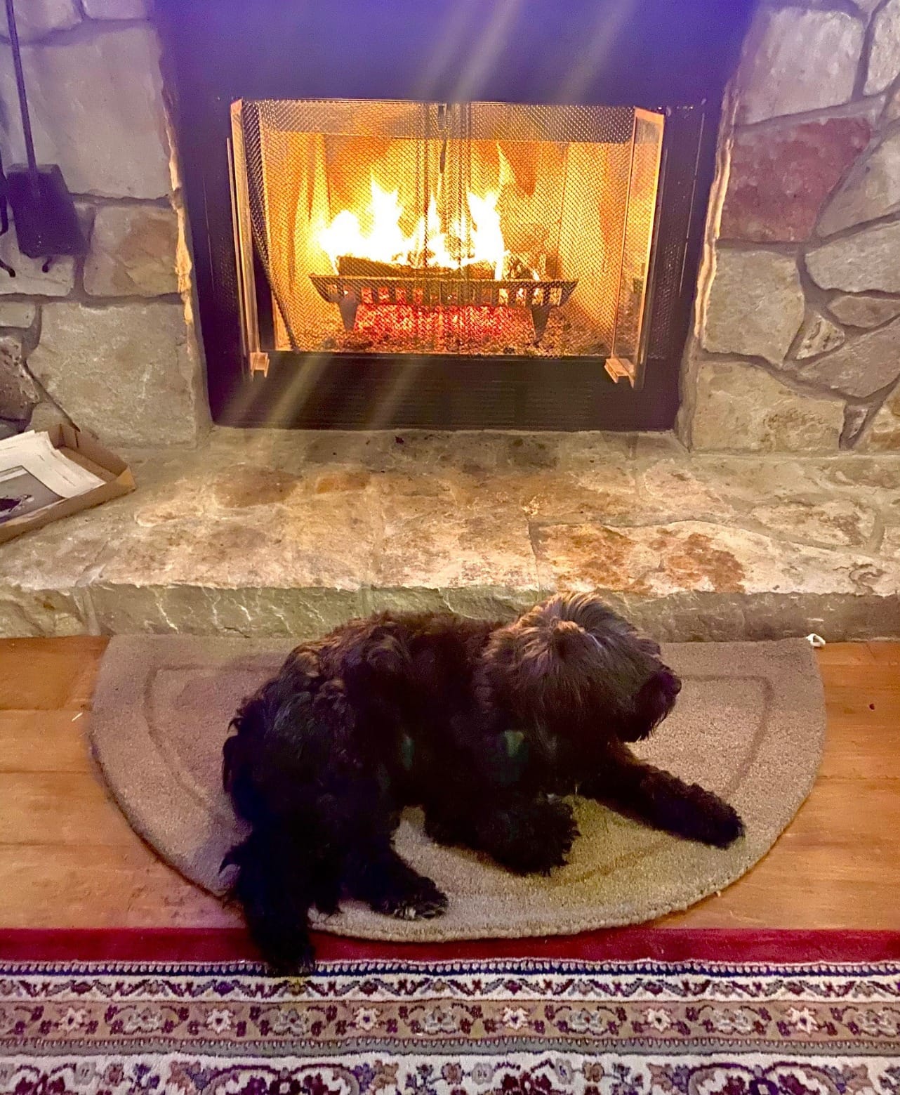 COTTON CRAFT Pure Wool Fireplace Rug - 22x44 inch Natural Tan Hearth Rug | Fire Resistant Hand Tufted Accent Carpet - Half Moon Shaped - Entryway Anti Fatigue Rug customer photo 2