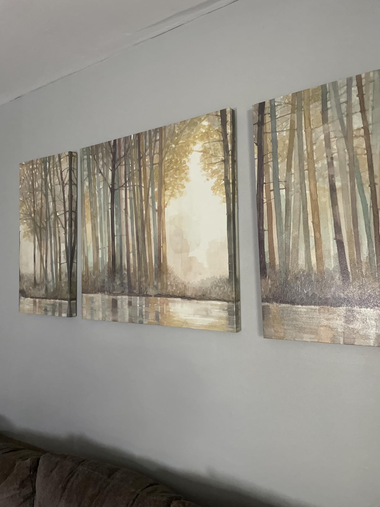 Madison Park Wall Art Living Room Décor - Triptych Scenery Watercolor Canvas, Home Accent Modern Dining Decoration, Ready to Hang Painting for Bedroom, Multi-Sizes, Natural Forest Reflection 3 Piece customer photo 1