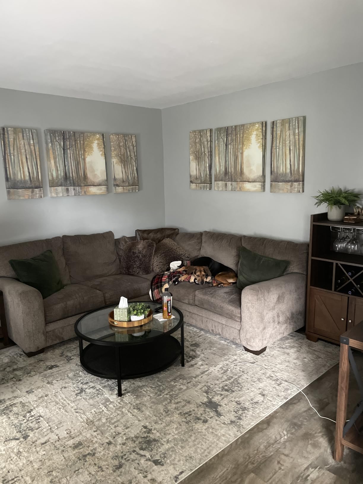 Madison Park Wall Art Living Room Décor - Triptych Scenery Watercolor Canvas, Home Accent Modern Dining Decoration, Ready to Hang Painting for Bedroom, Multi-Sizes, Natural Forest Reflection 3 Piece customer photo 2