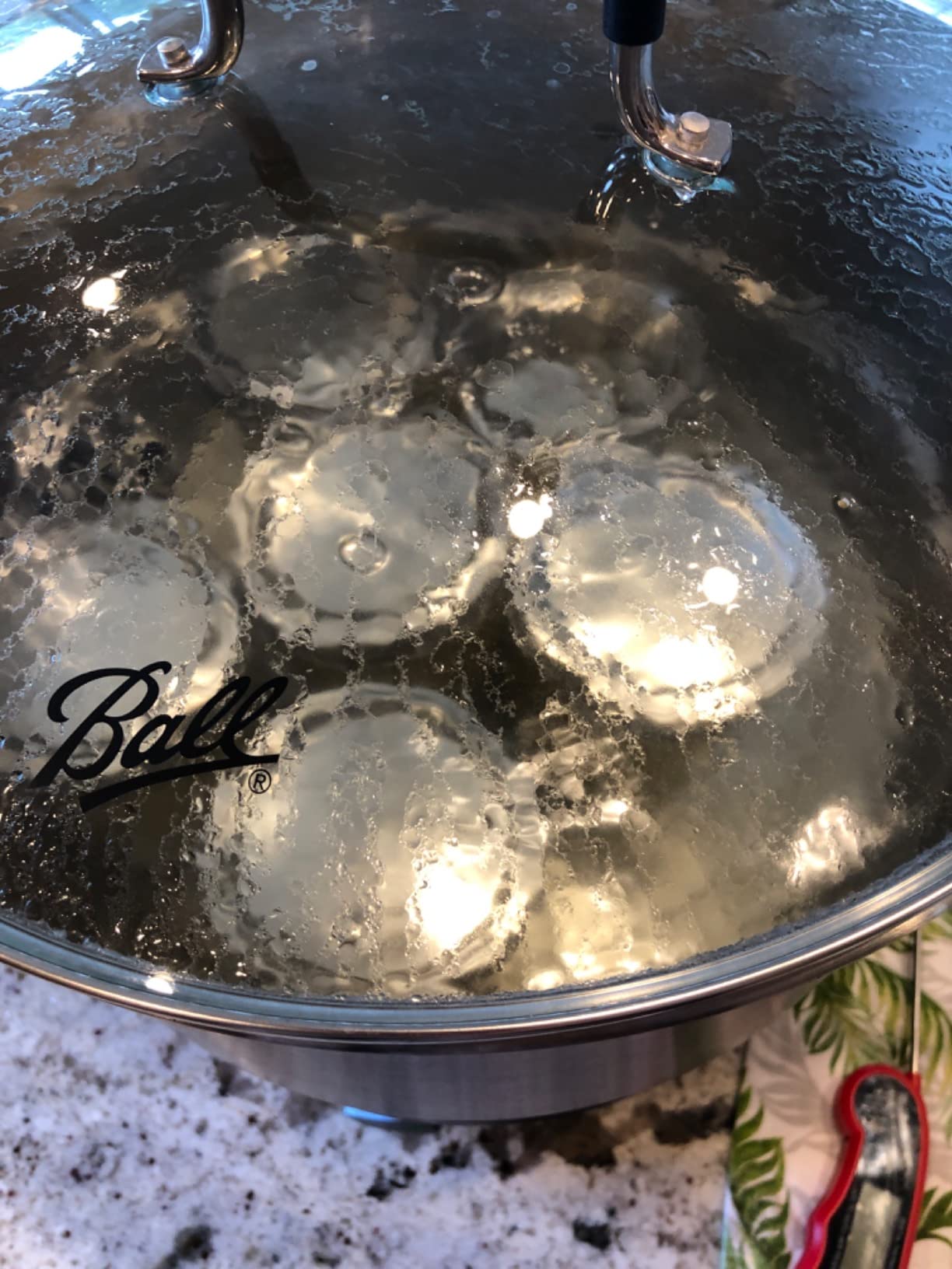 Ball Electric Canner customer photo 1