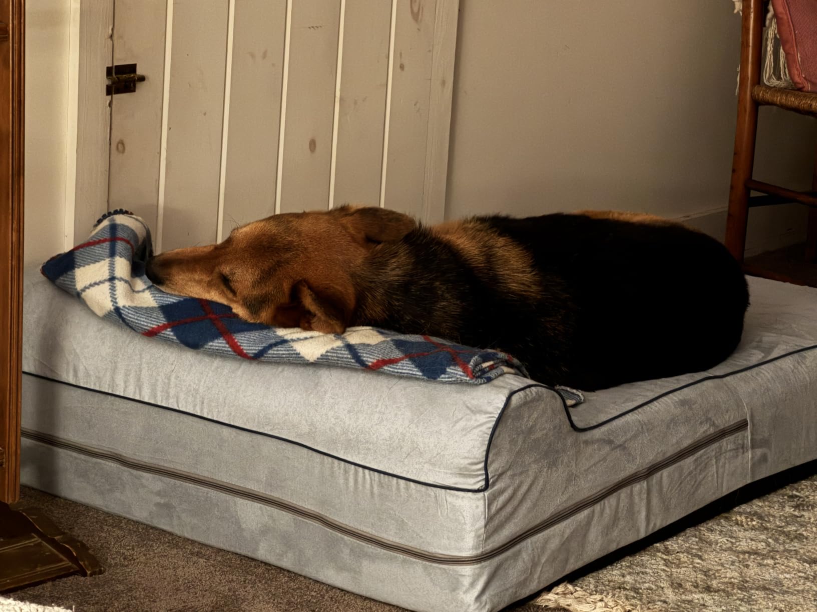 KOPEKS Orthopedic Memory Foam Dog Bed 7