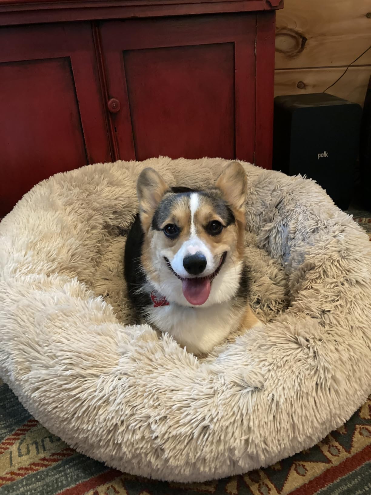 Best Friends by Sheri Original Calming Donut Dog Bed, Frost Gray, Small 23