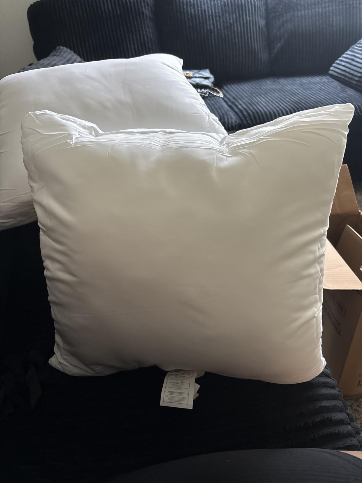 Utopia Bedding Throw Pillows, Decorative 18x18 Pillow Inserts, Set of 4 | Down Alternative Pillow Insert with Plush Fluffy Fill for Beds Sofas Couches and Chairs. Suitable for Indoor Outdoor Use. customer photo 2