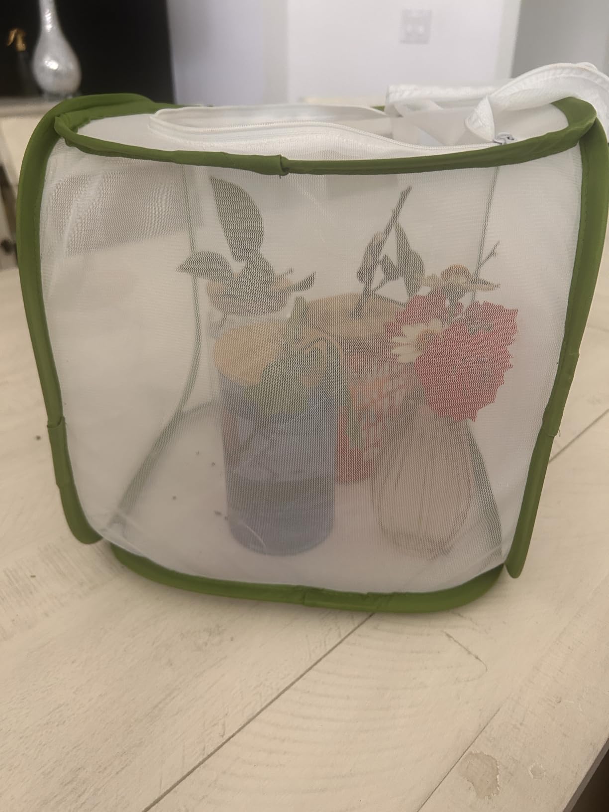 RESTCLOUD Insect and Butterfly Habitat Cage Terrarium Pop-up 23.6 Inches Tall customer photo 1