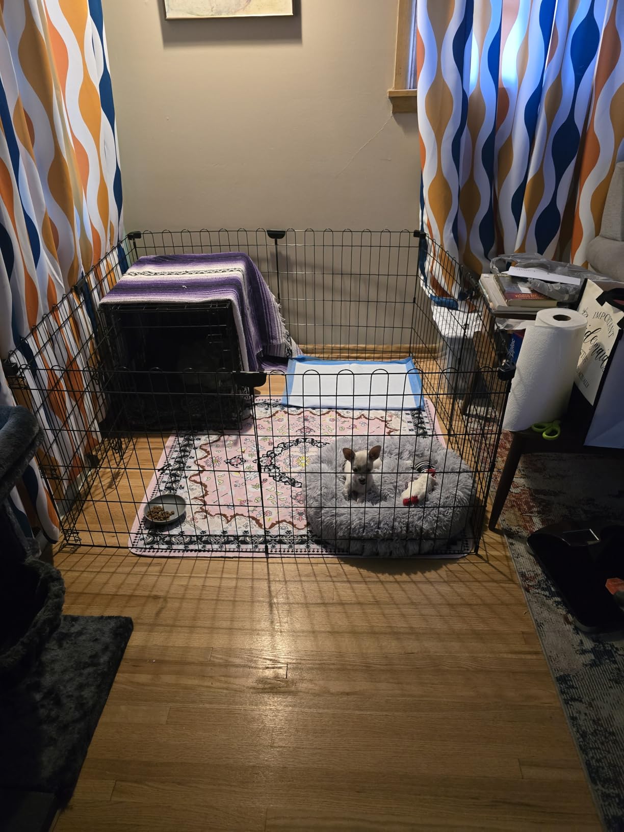 Amazon Basics Foldable Octagonal Metal Exercise Dog Playpen - Indoor/Outdoor, No Door, Small (8 Panels, 24 x 30), Easy to assemble, store, and customize, 30