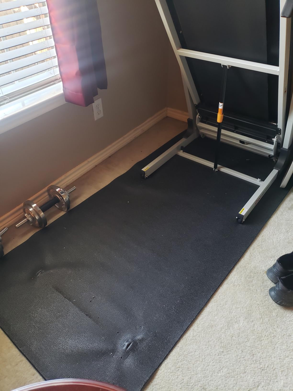 Sunny Health & Fitness Equipment Mats, Home Gym Floor Protection, 4 Sizes customer photo 1