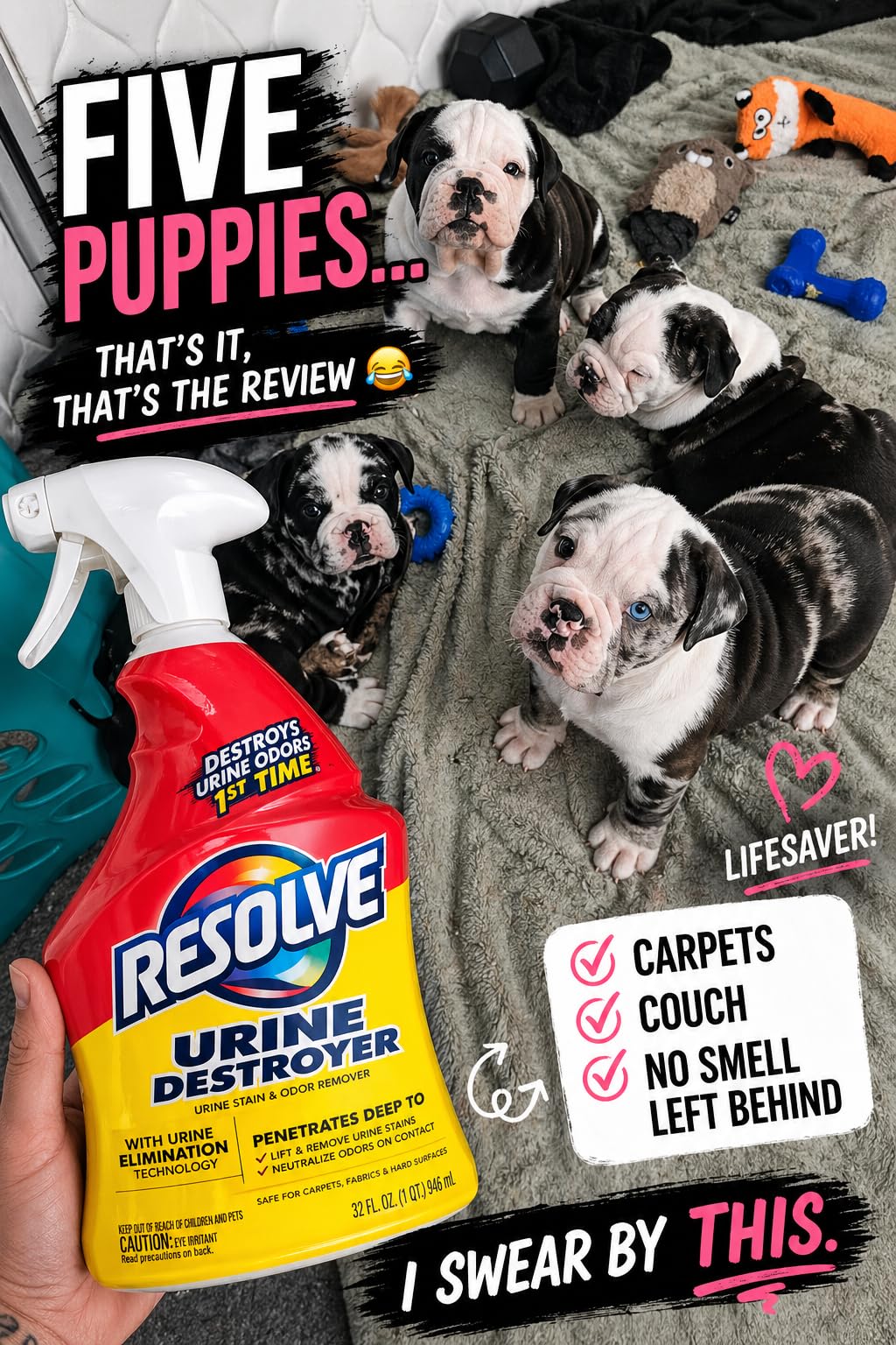 Resolve Urine Destroyer Enzyme Cleaner Spray, Pet Carpet Cleaner Solution | Enzyme cleaner spray for carpet stains; pet stain remover for dog urine, cat urine and odor control after accidents customer photo 2