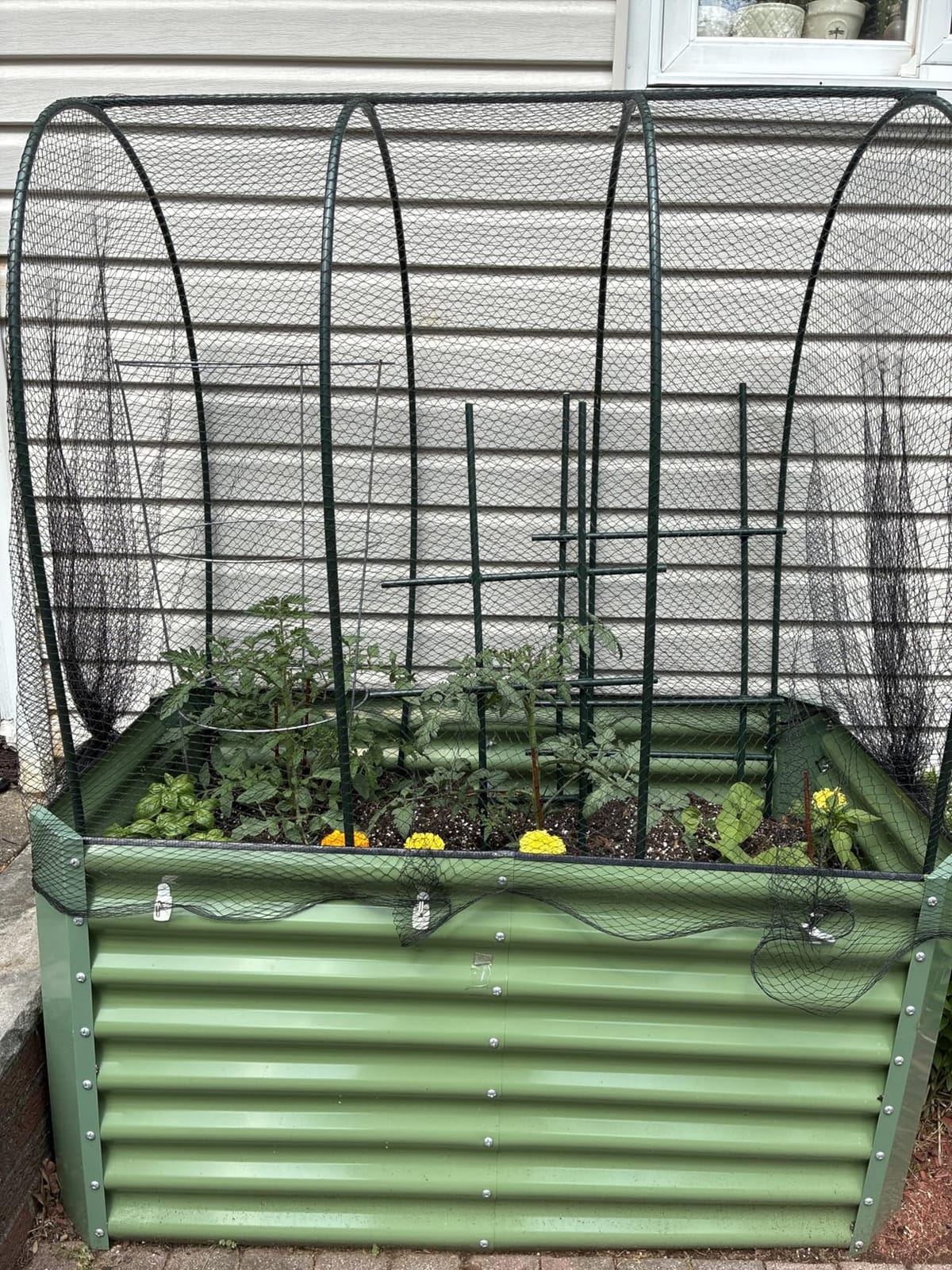 Gardzen Garden Hoops for Raised Beds | Greenhouse Hoops, DIY Kit for Row Cover Garden Netting, All Season Plant Protection, 24 Pcs customer photo 1