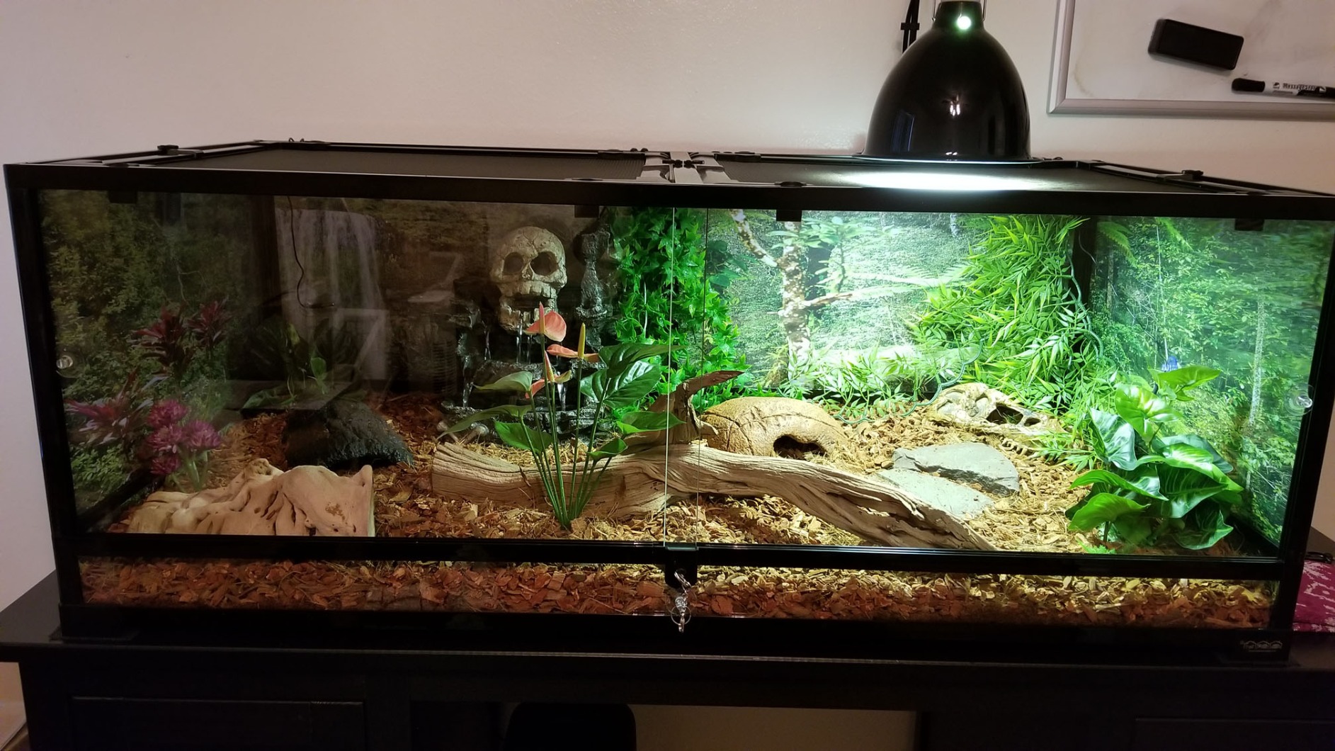 Carolina Custom Cages, 48Lx18Wx36H Extra-Tall Extra-Long Terrarium; Easy Assembly customer photo 1