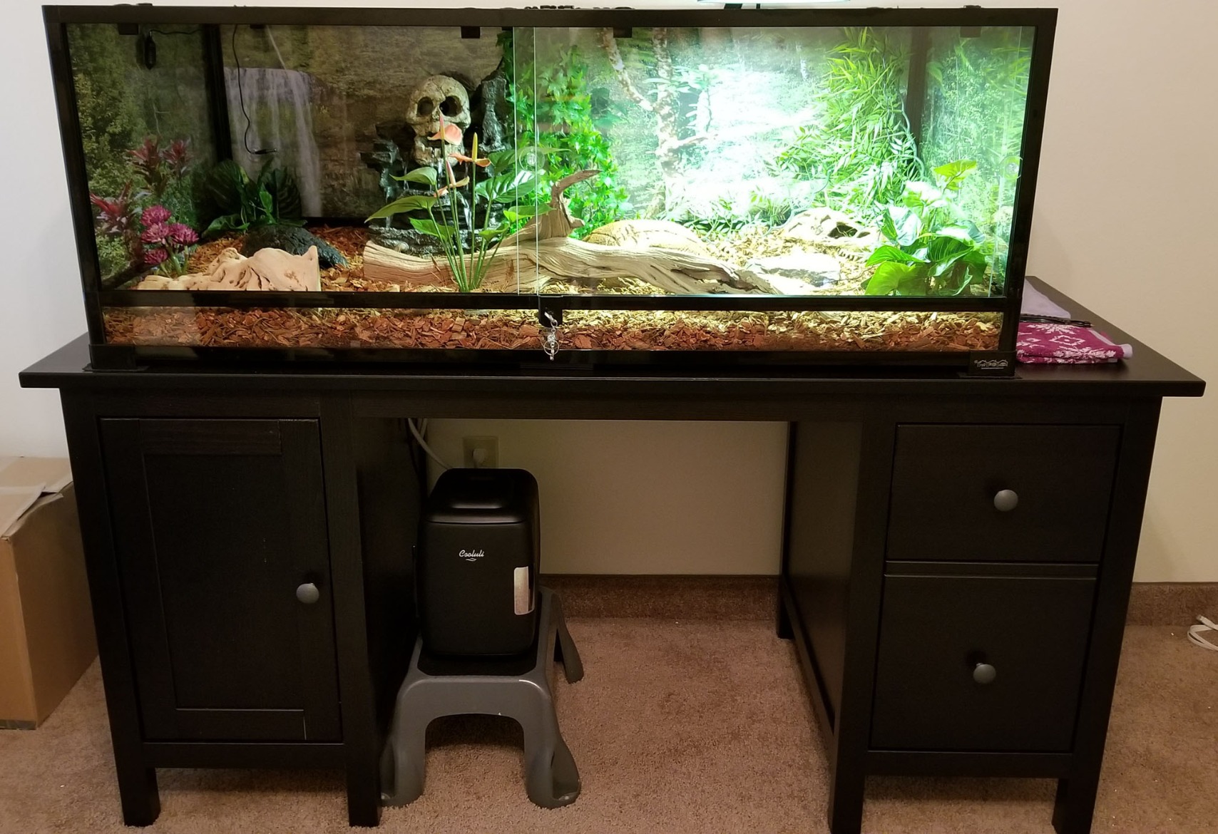 Carolina Custom Cages, 48Lx18Wx36H Extra-Tall Extra-Long Terrarium; Easy Assembly customer photo 2