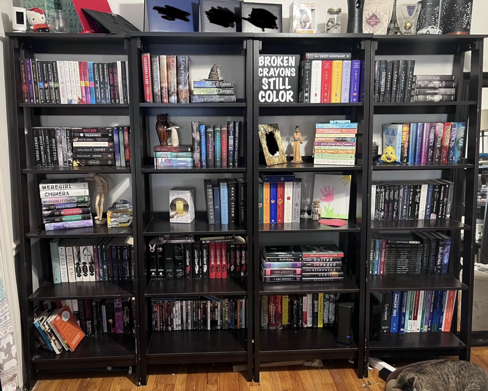 Sauder Trestle 5-Shelf Bookcase/ Book Shelf, Vintage Oak finish customer photo 1