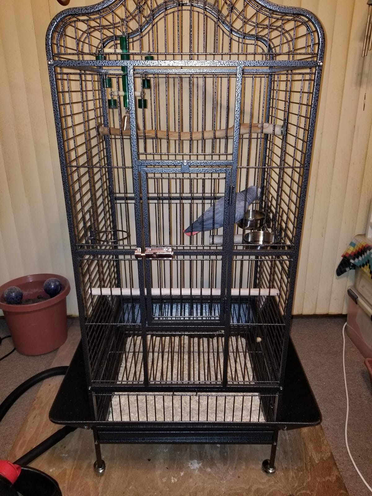Topeakmart Extra Large Parrot Bird Cage for Macaw Cockatoo Cockatiels African Grey with Open Play Top customer photo 1