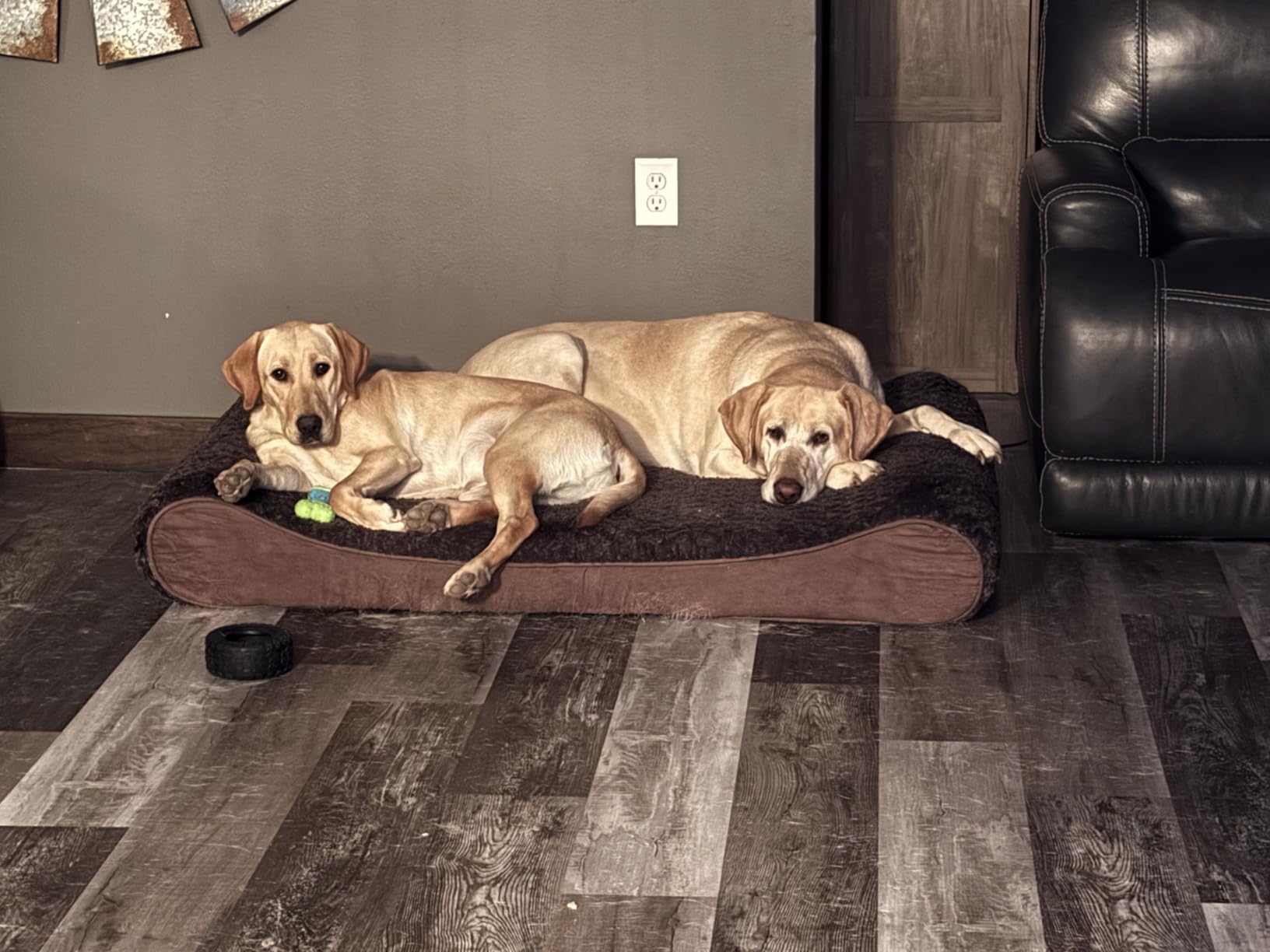 Furhaven Orthopedic Dog Bed for Extra Large Dogs w/ Removable Washable Cover, For Dogs Up to 180 lbs - Ultra Plush Faux Fur & Suede Luxe Lounger Contour Mattress - Chocolate, Giant/XXXL customer photo 2