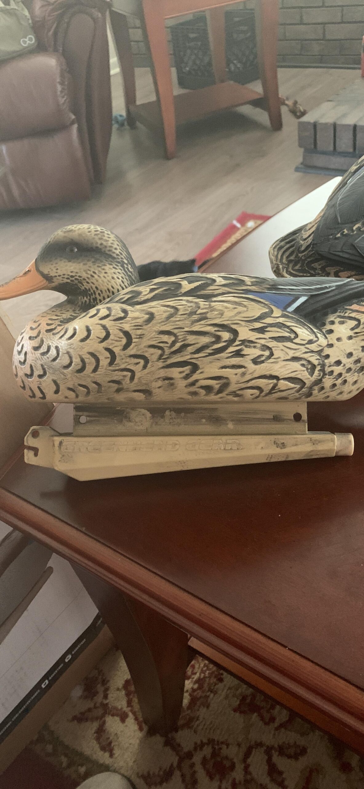 Avery GHG Essential Mallard Duck Decoys - 12 Pack | Realistic Durable Floating Waterfowl Hunting Set with Weighted Self-Righting Keels, 6 Drake & 6 Hen Floaters, 12-Pack (70010) customer photo 1