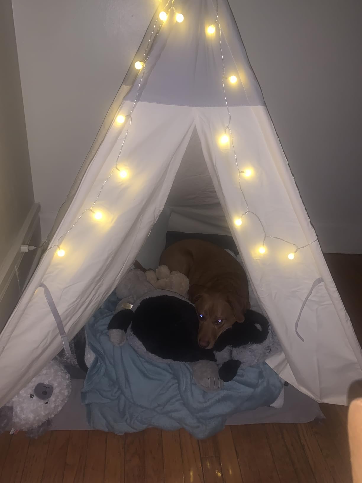 besrey Teepee Tent for Kids, Cotton Canvas Play Tent with Lights & Mat, Sturdy Toddler Tipi Tent Playhouse for Boys Girls, Foldable Indoor Outdoor Camping Reading Hideaway customer photo 1