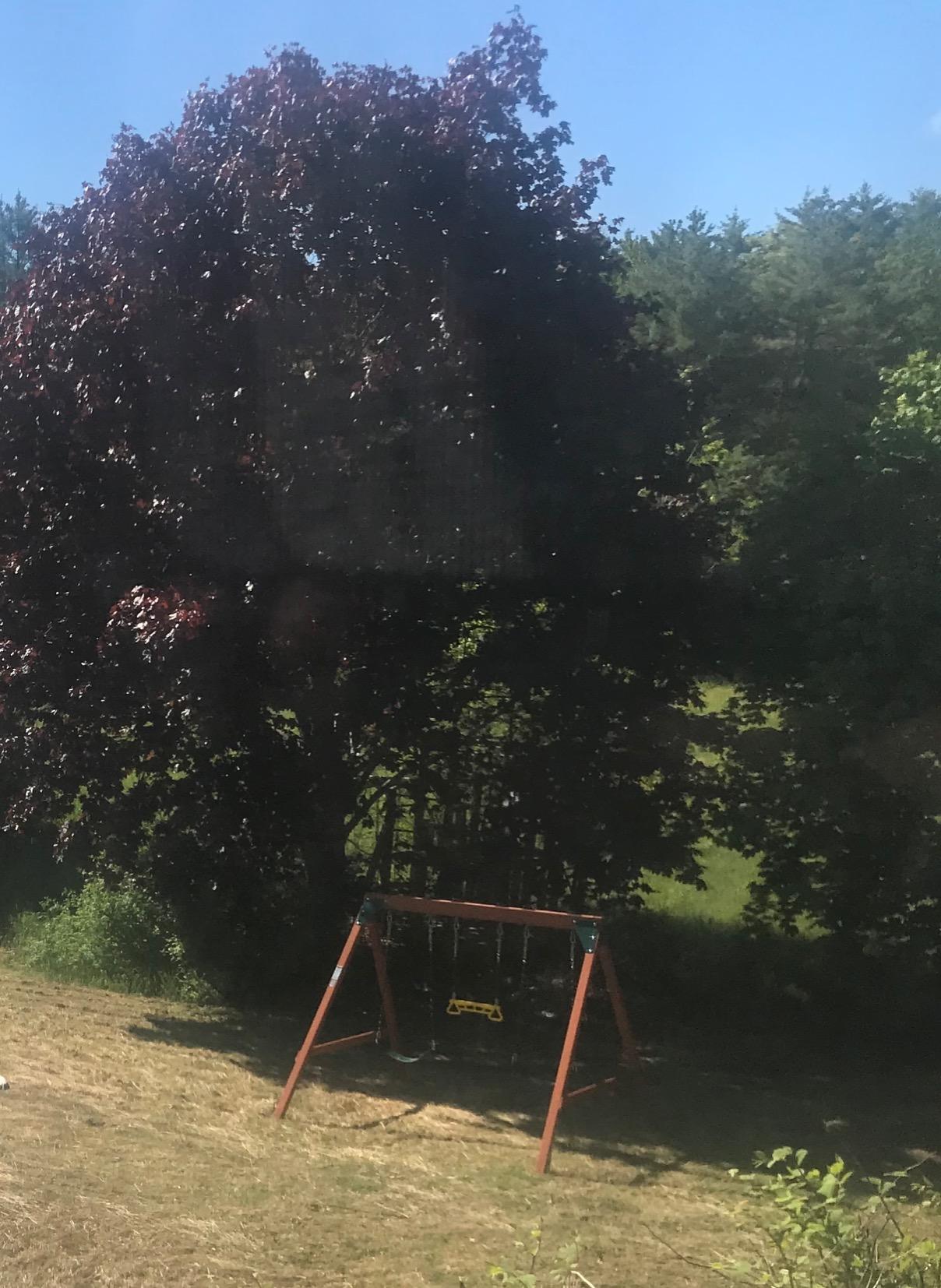Swing-N-Slide PB 8360 Ranger Wooden Swing Set with Swings, Brown (Amazon Exclusive) customer photo 1