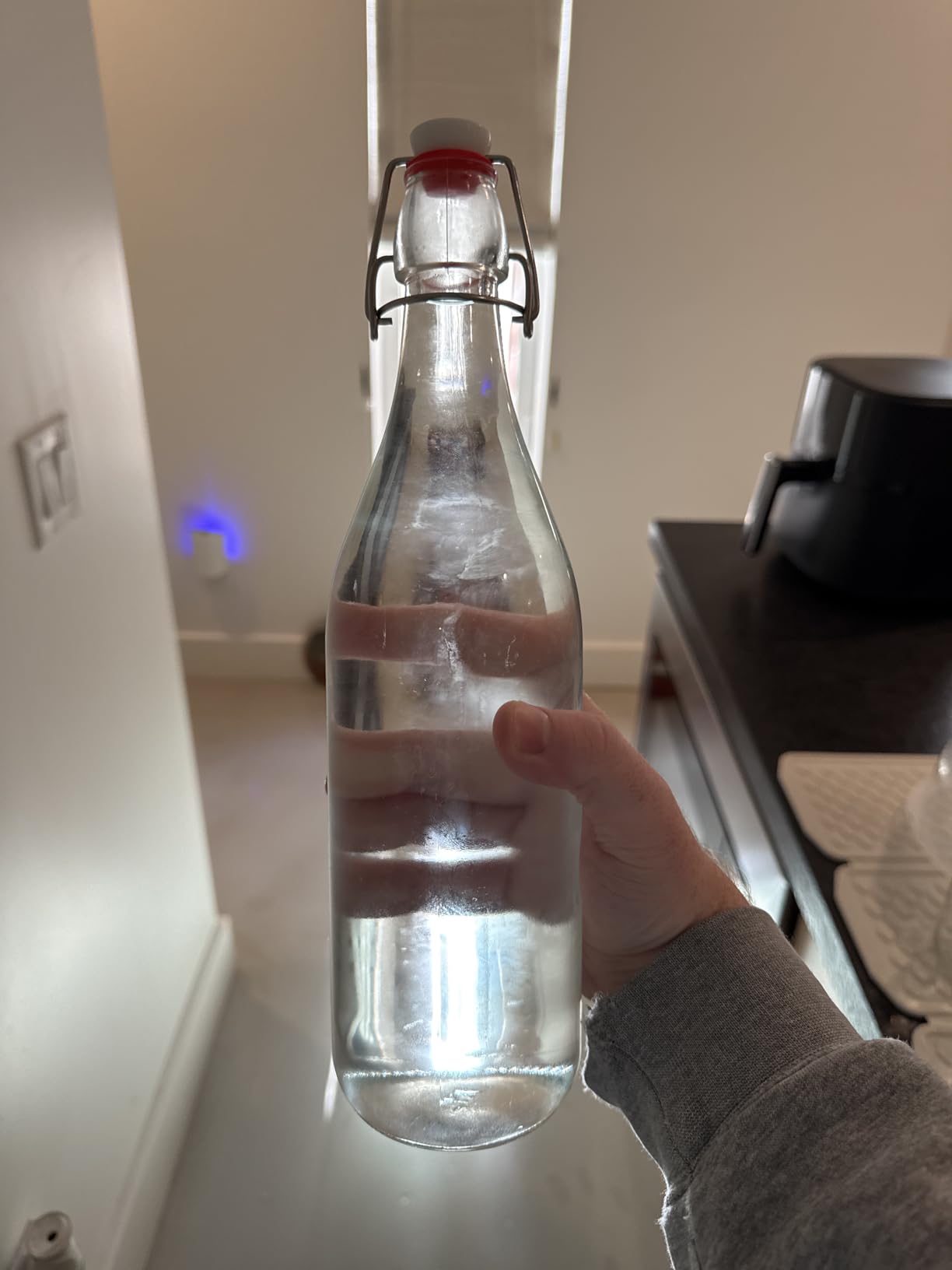 AYL Flip Top Glass Bottle 16 fl. oz. (Pack of 6) - Swing Top Brewing Bottle with Stopper for Beverages, Oil, Vinegar, Kombucha, Beer, Water, Soda, Kefir - Airtight Lid & Leak Proof Cap, Clear customer photo 1