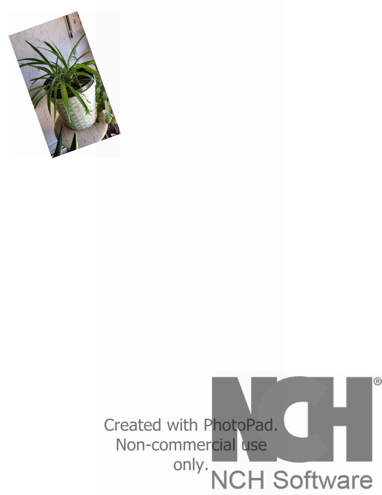 PhotoPad Photo Editing and Image Editor Free [PC Download] customer photo 1