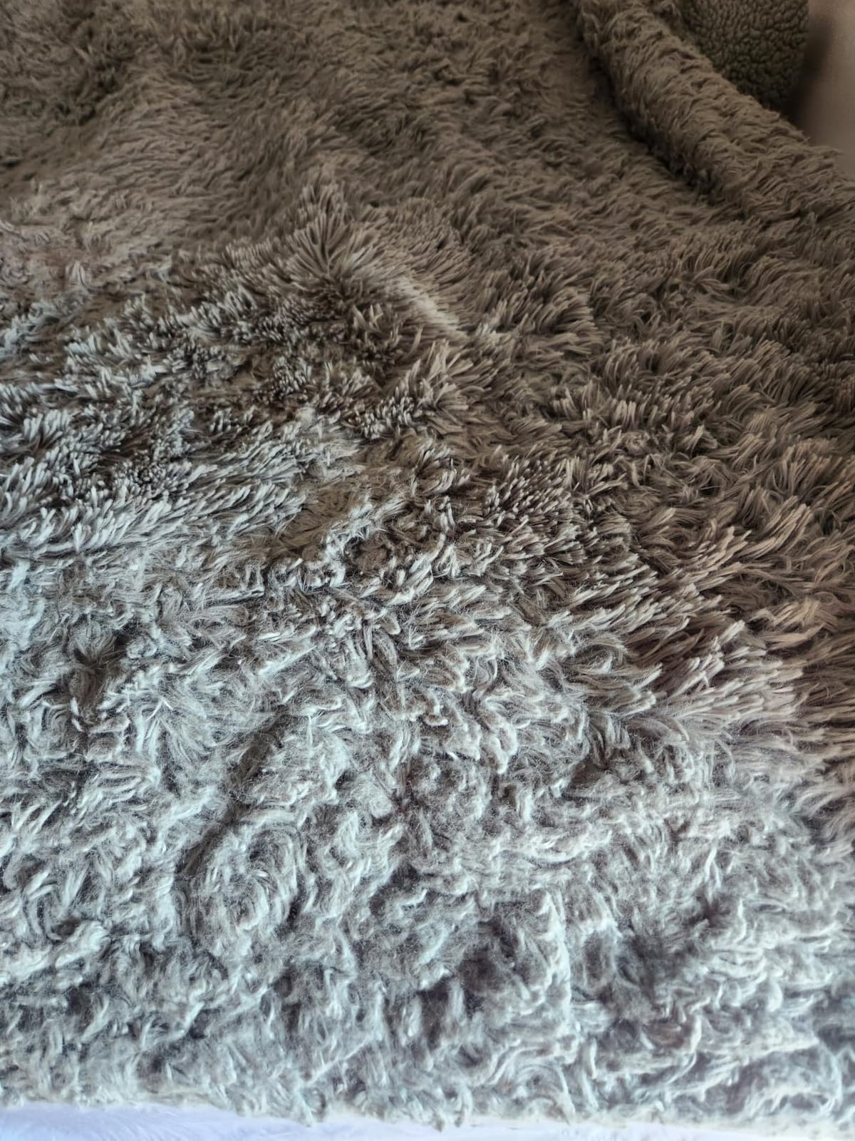 Bedsure GentleSoft Fluffy Fuzzy Faux Fur Throw Blanket for Couch, Soft Sherpa Fleece Cozy Gifts for Women, Plush Bed Blanket Room Decor for Men, Thick Warm Teen Gifts Winter Bedding customer photo 2