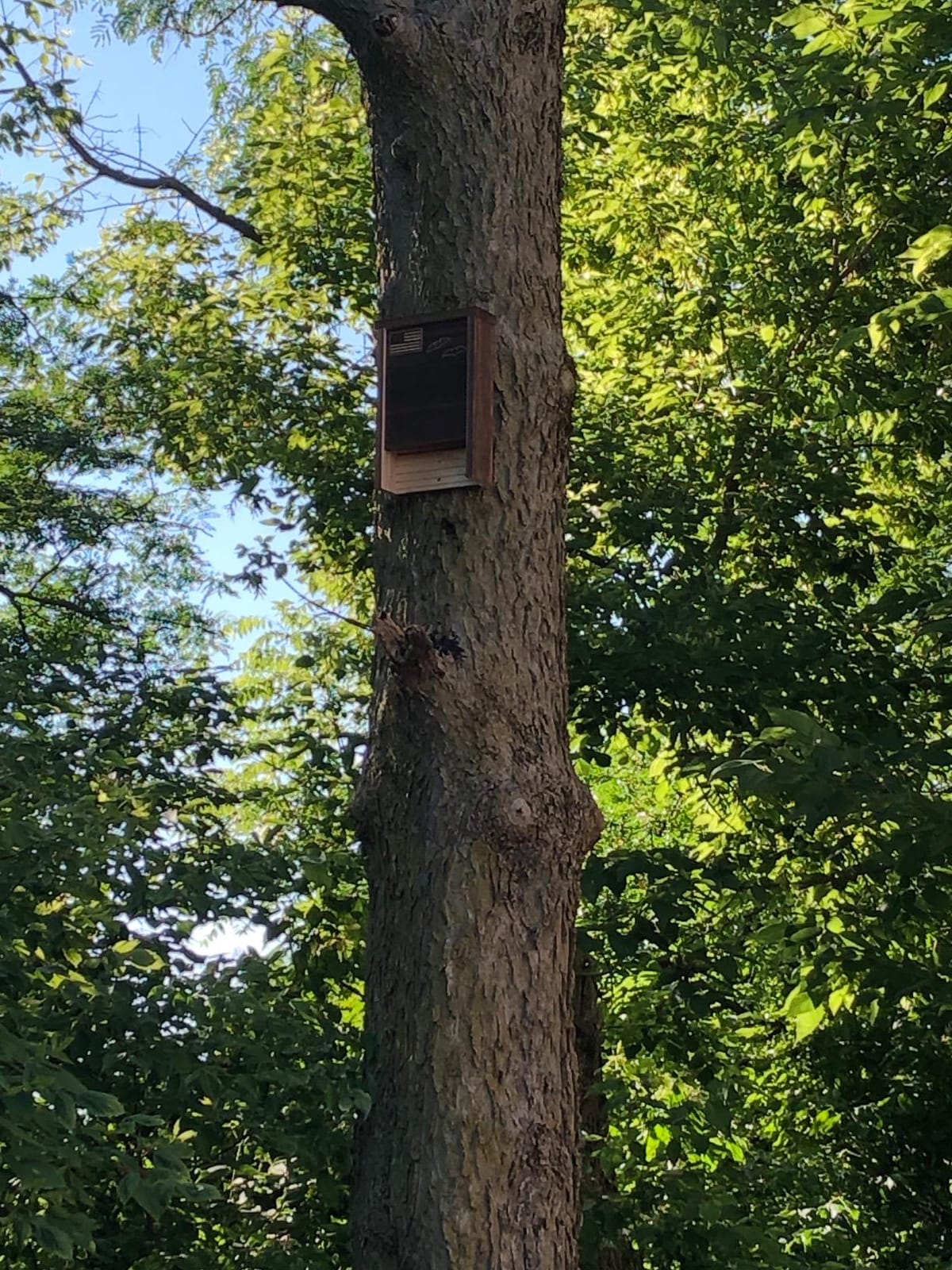Made in USA Premium-Grade Red Cedar Bat House, 2 Chamber Bat Box - Applewood Outdoor customer photo 2