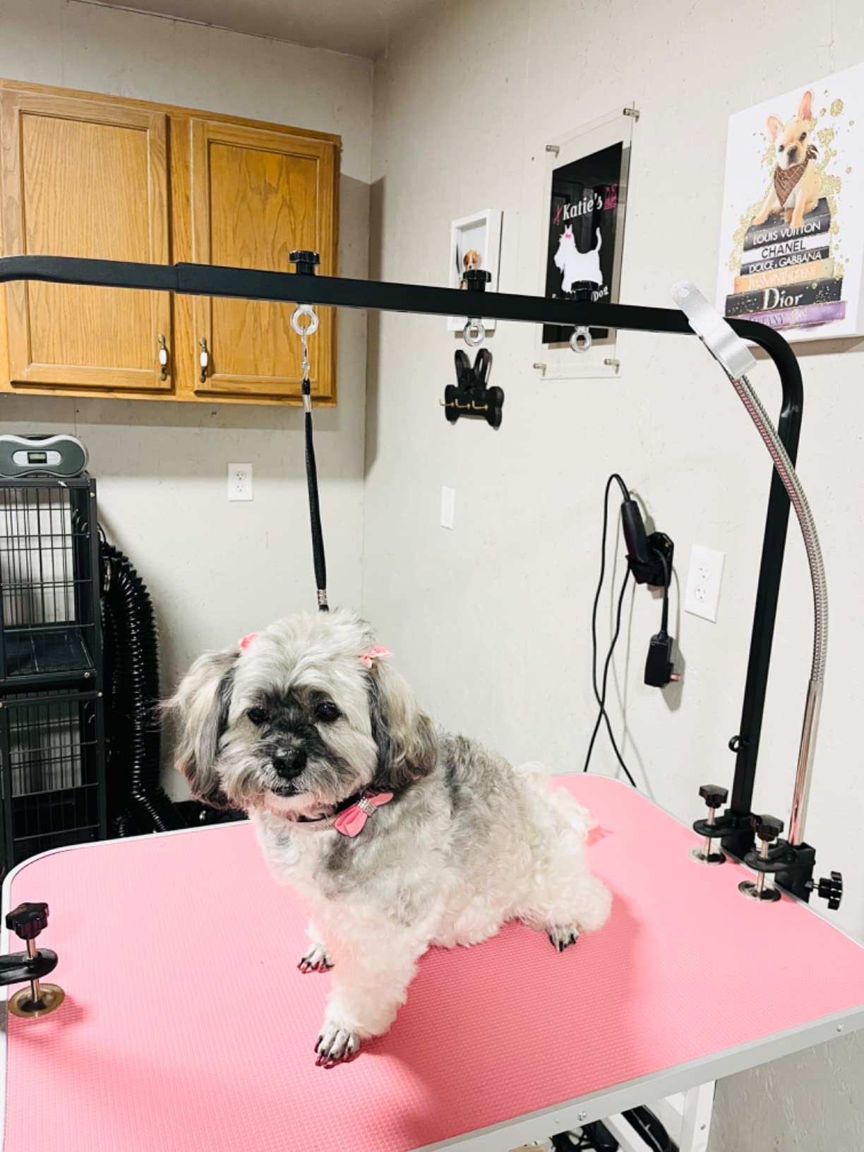 SHELANDY Overhead pet Grooming arm/Bars with Clamps Ideal for Dog Bathing & Grooming customer photo 1