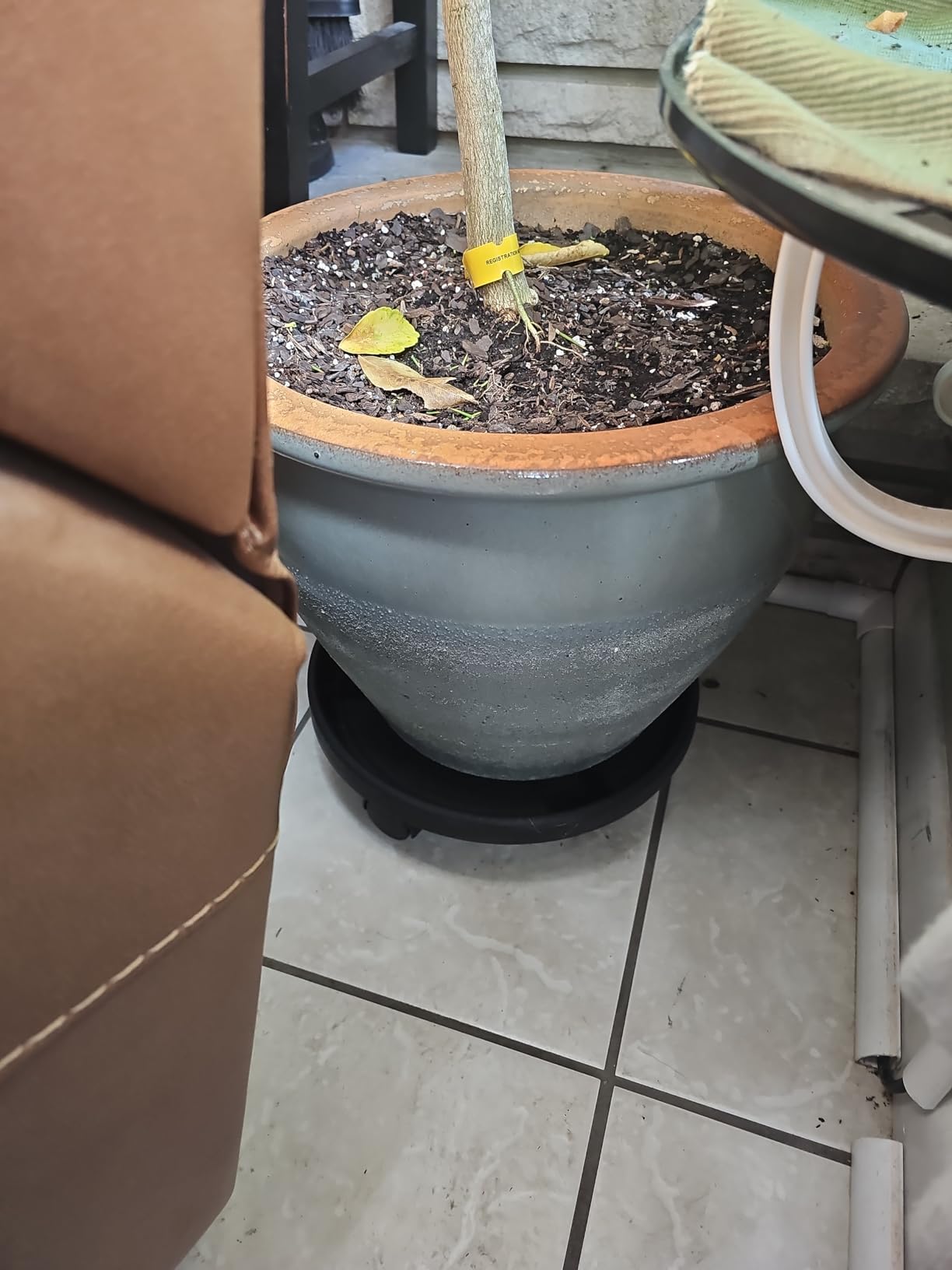 Bloem Round Planter Caddy with Wheels: 16