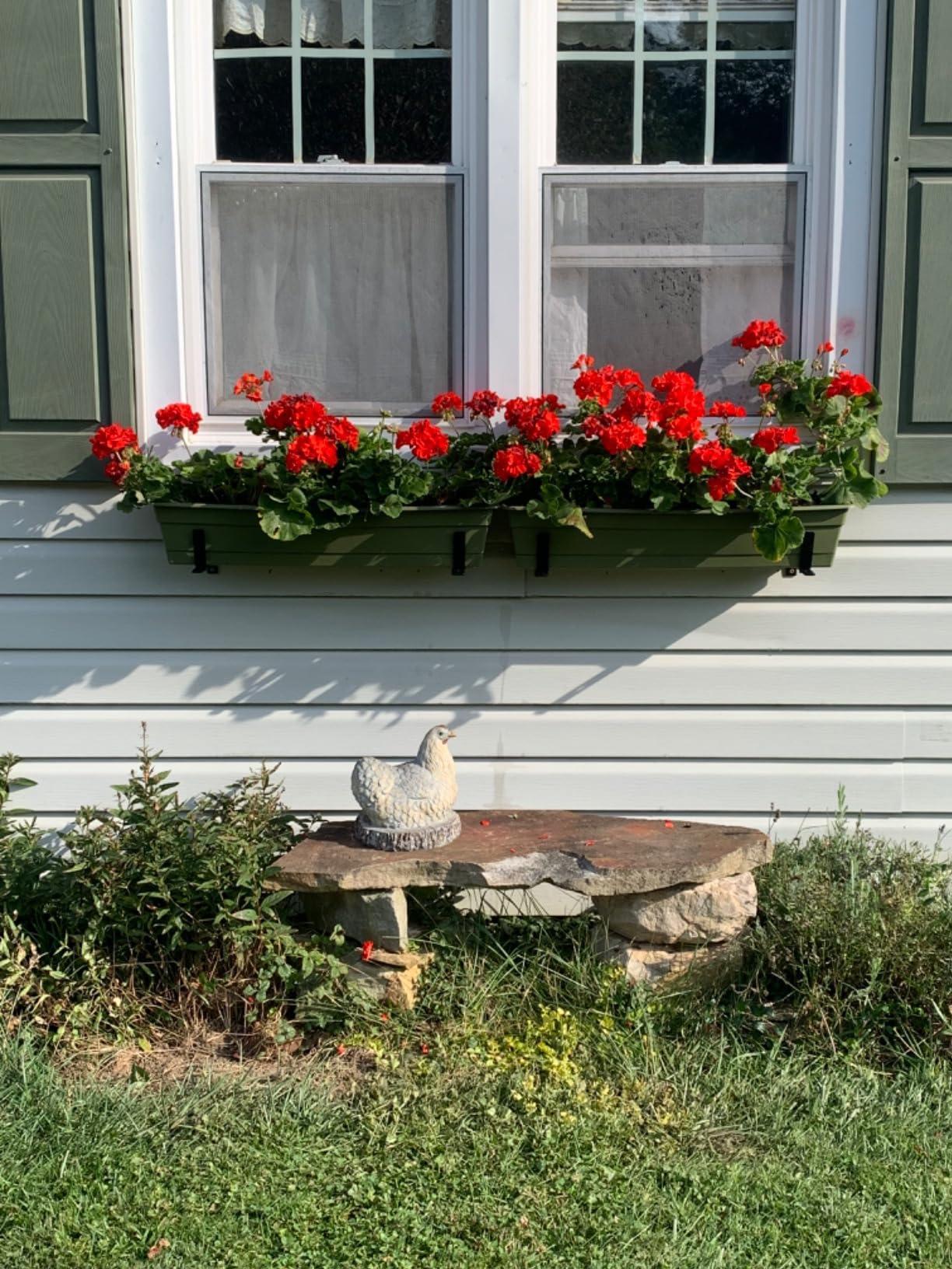 Bloem Dura Cotta Window Box Planter: 24