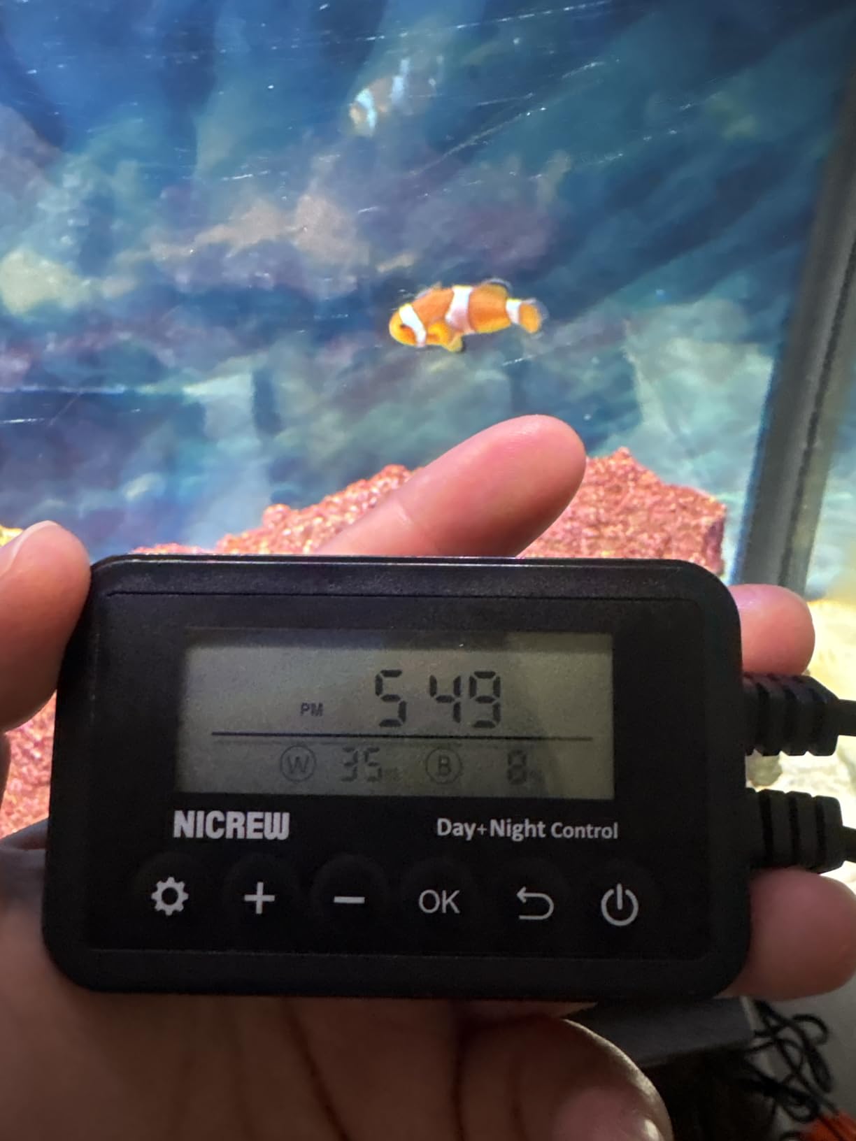 NICREW Saltwater Aquarium Light, Marine LED Fish Tank Light for Coral Reef Tanks, 2-Channel Timer Included, 30 to 36-Inch, 32-Watt customer photo 2