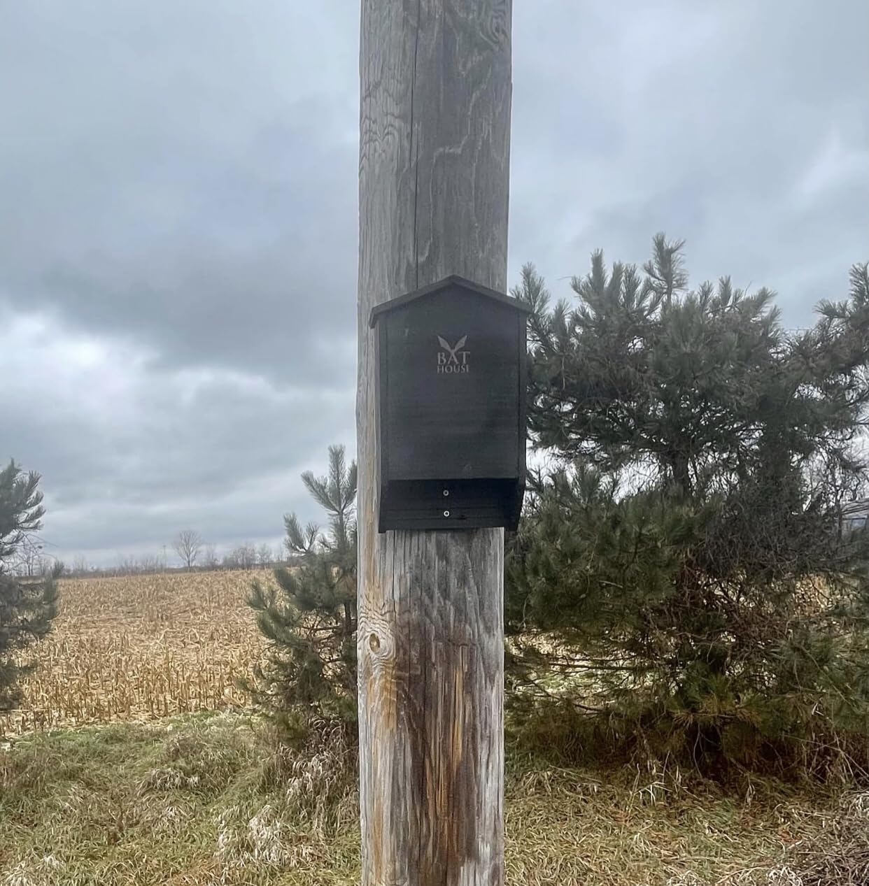 The Ultimate Wooden Bat House for Outdoors - Large Double Chamber Box | Perfectly Designed to Attract Bats - Durable and Easy to Hang Outdoors customer photo 1