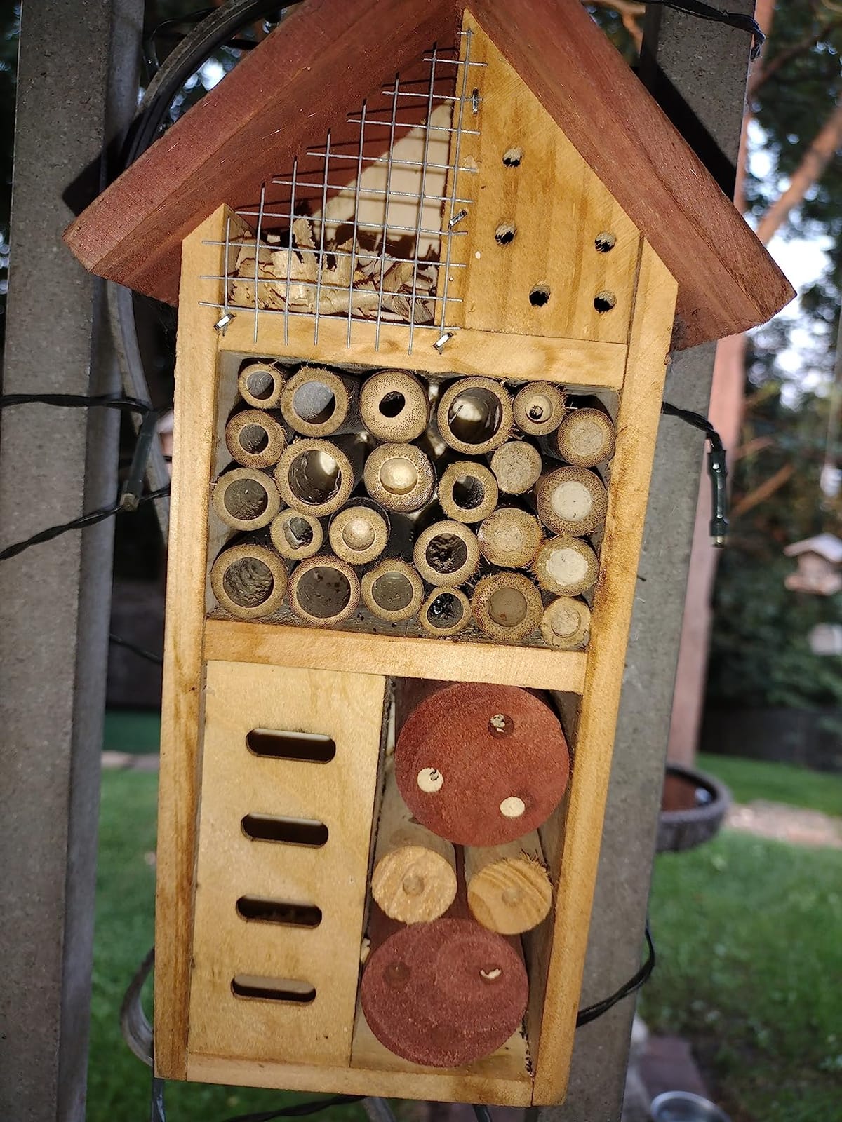 Lulu Home Wooden Insect House, Hanging Insect Hotel for Bee, Butterfly, Ladybirds, Beneficial Insect Habitat, Bug Hotel Garden, 10.4 X 3.4 X 5.4 Inch customer photo 1
