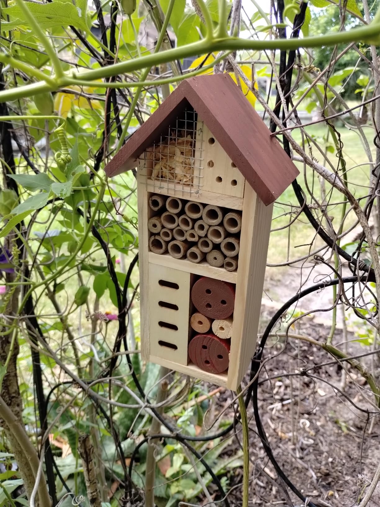 Lulu Home Wooden Insect House, Hanging Insect Hotel for Bee, Butterfly, Ladybirds, Beneficial Insect Habitat, Bug Hotel Garden, 10.4 X 3.4 X 5.4 Inch customer photo 2