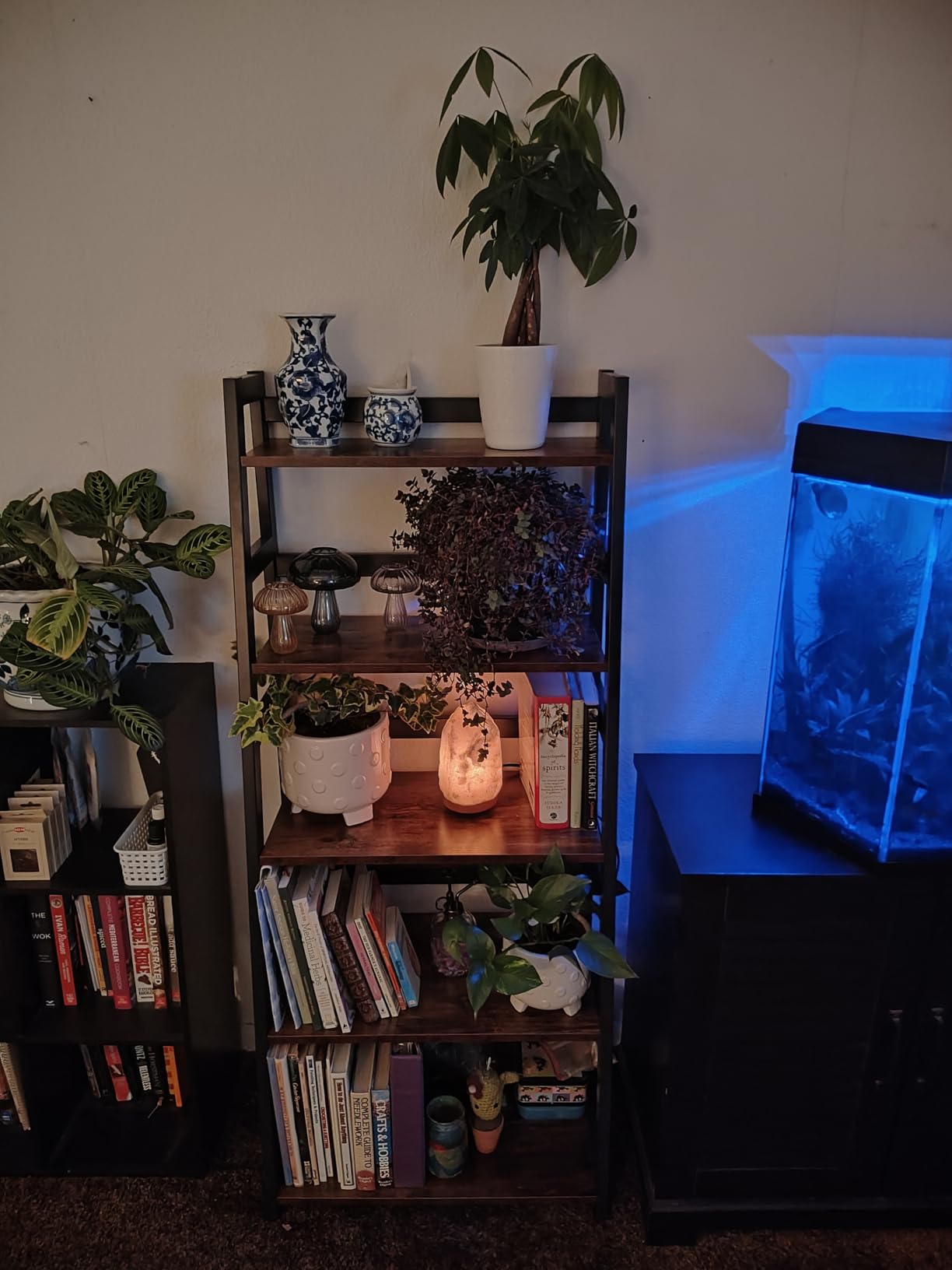 Tribesigns 5-Tier Bookshelf Industrial Bookcase, 5 Shelf Ladder Shelf Book Storage Shelf Organizer for Living Room, Home Office customer photo 2